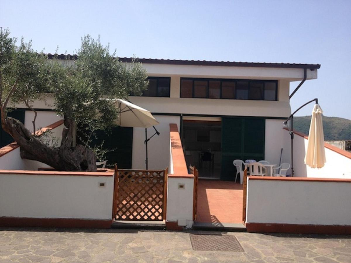 Apartment with Terrace photo 1