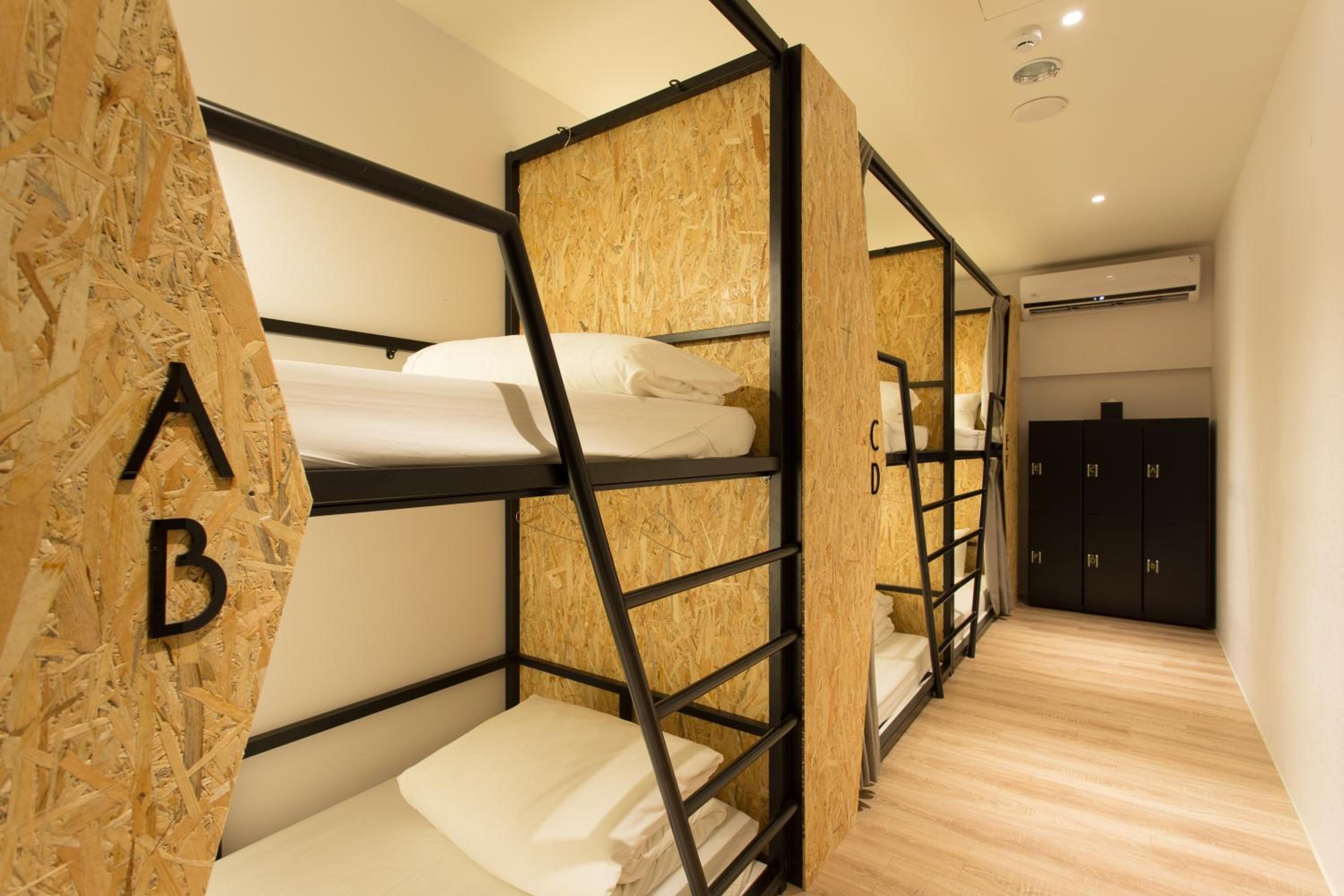 Single Bed in 10-Bed Female Dormitory Room photo 1