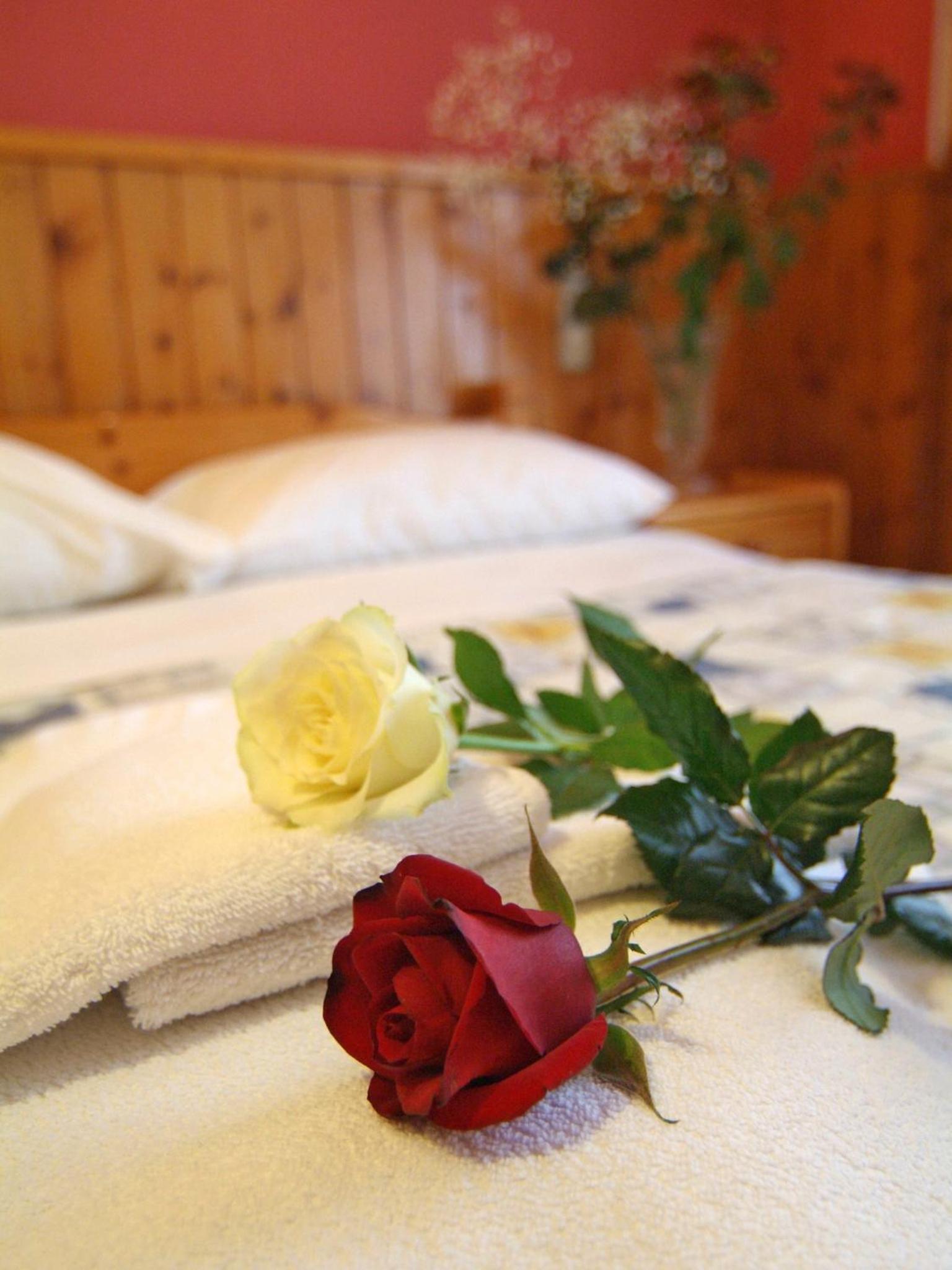 Double or Twin Room - Photo 4