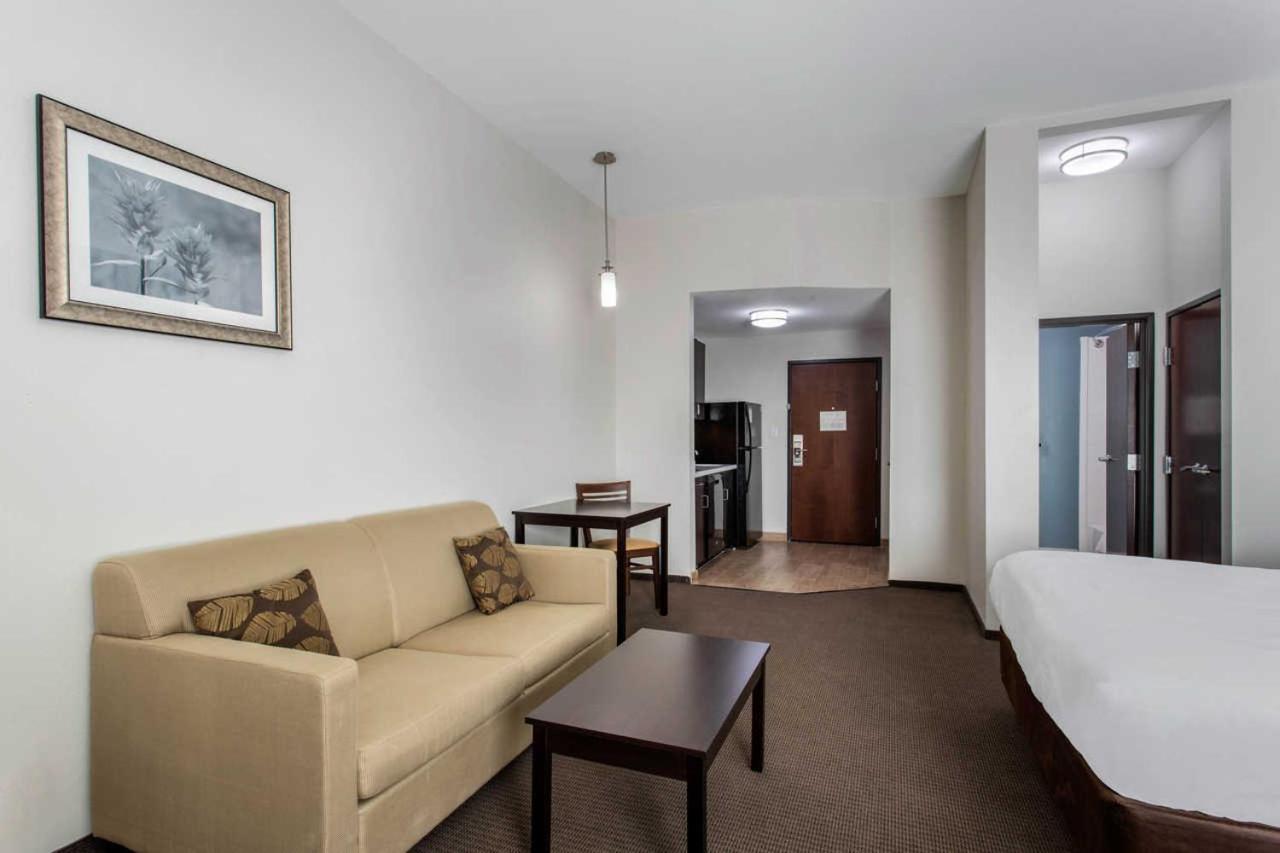 国王套房 - 禁烟
