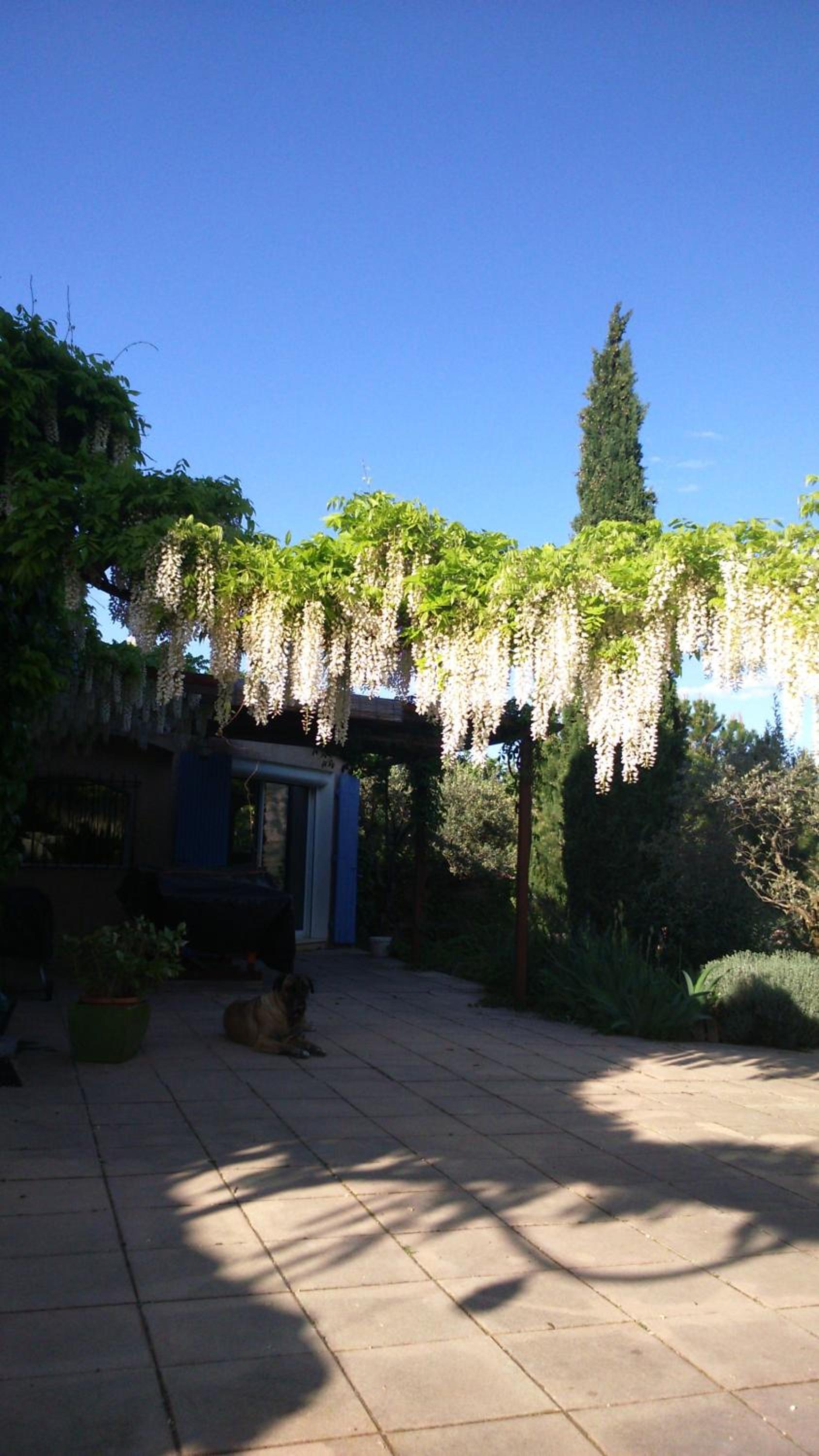 Double Room with Mountain View - Photo 4