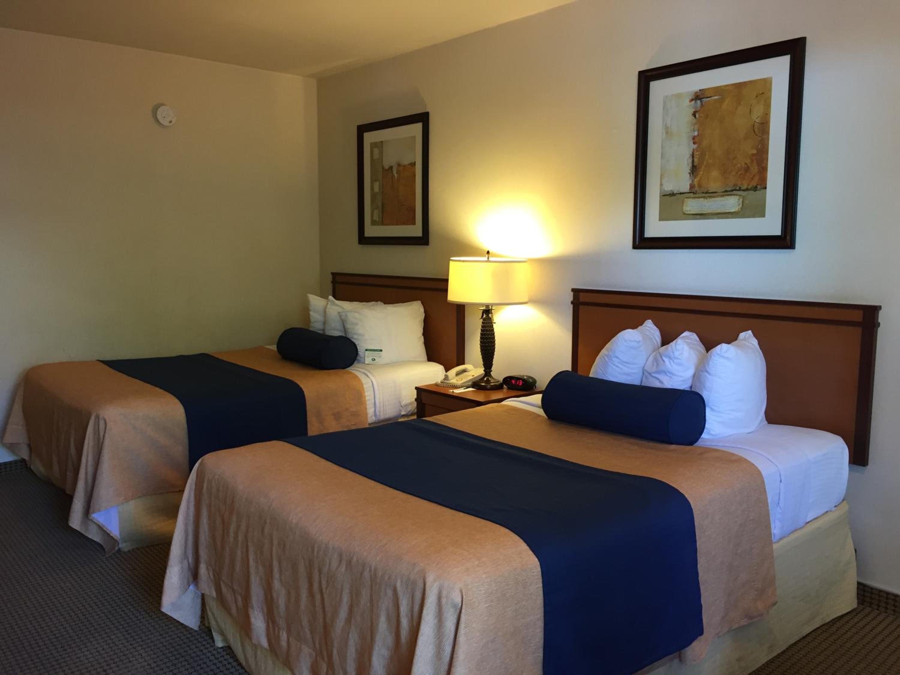 Standard Double Room with Two Double Beds - Photo 8