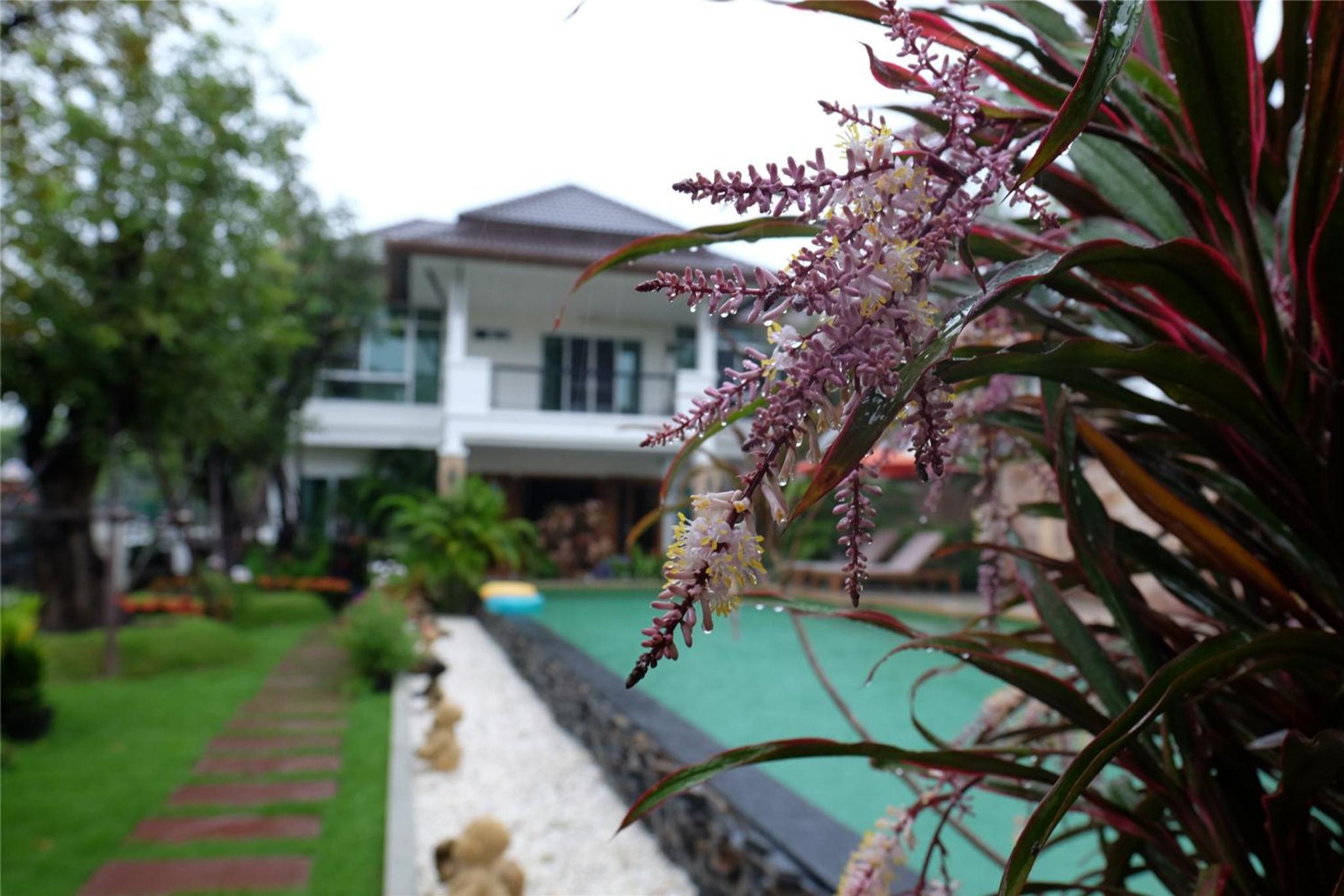 Villa - Photo 16