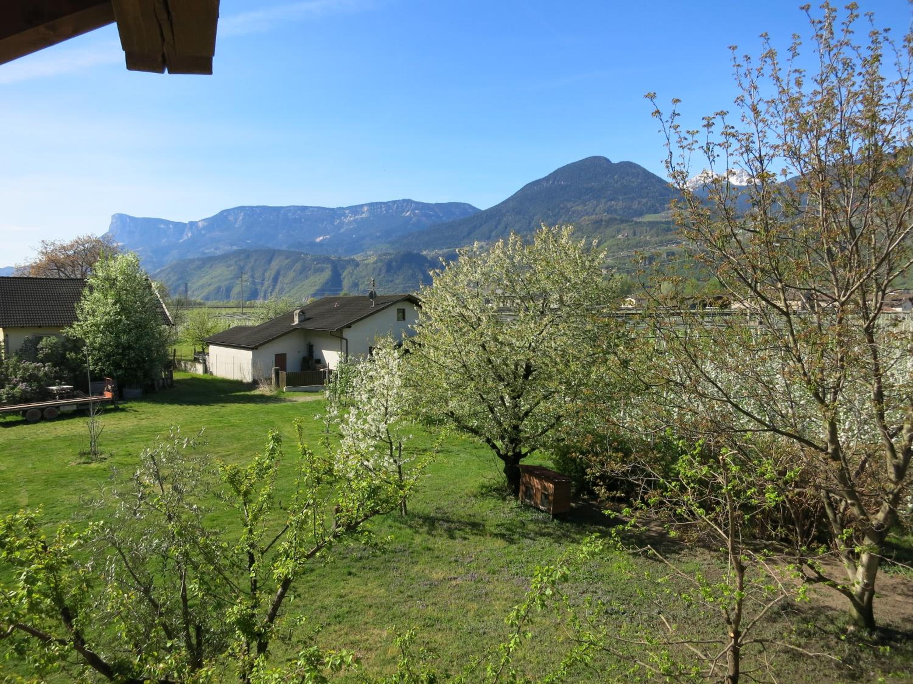 Large One-Bedroom Apartment - South balcony photo 2