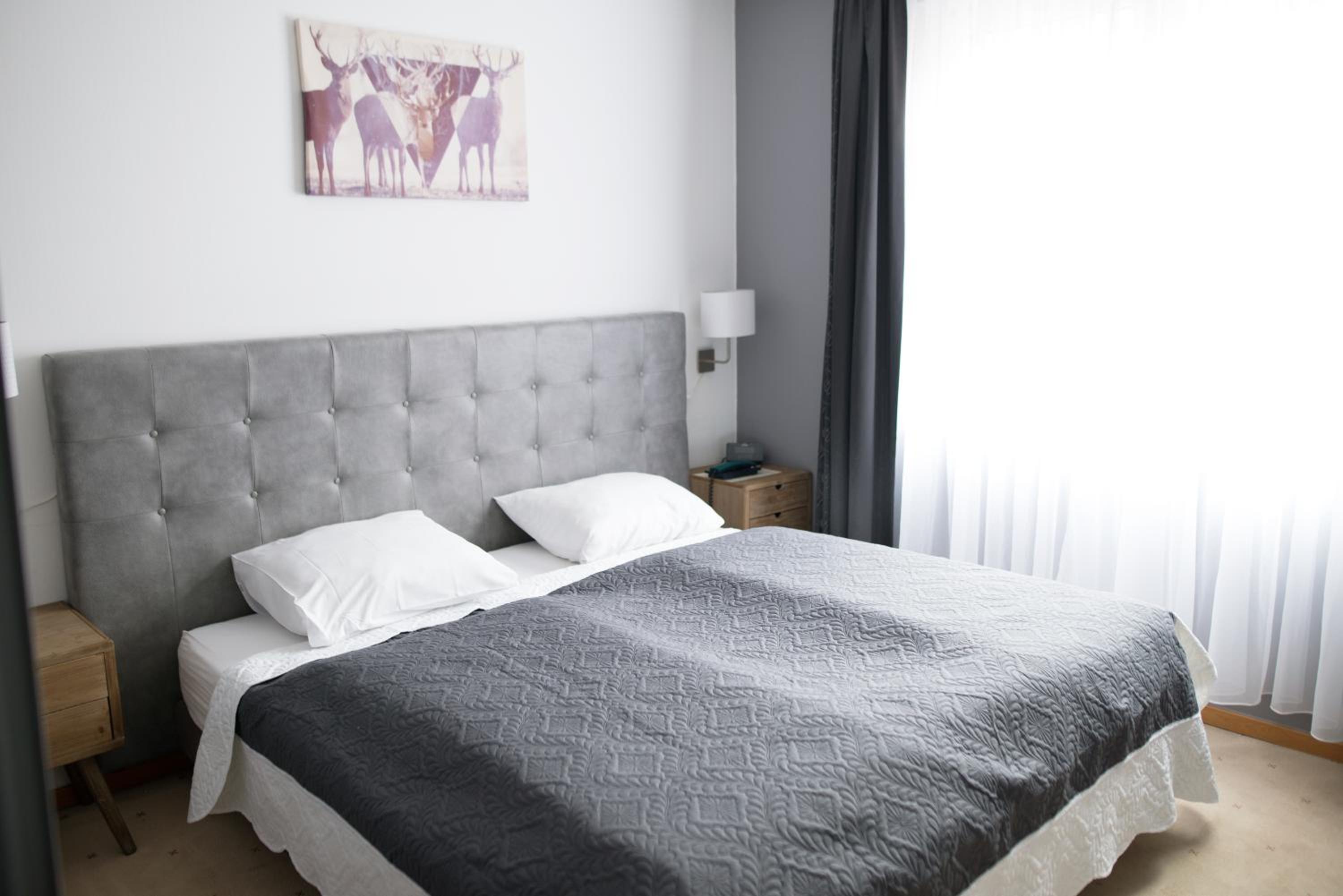 Double or Twin Room - Photo 11