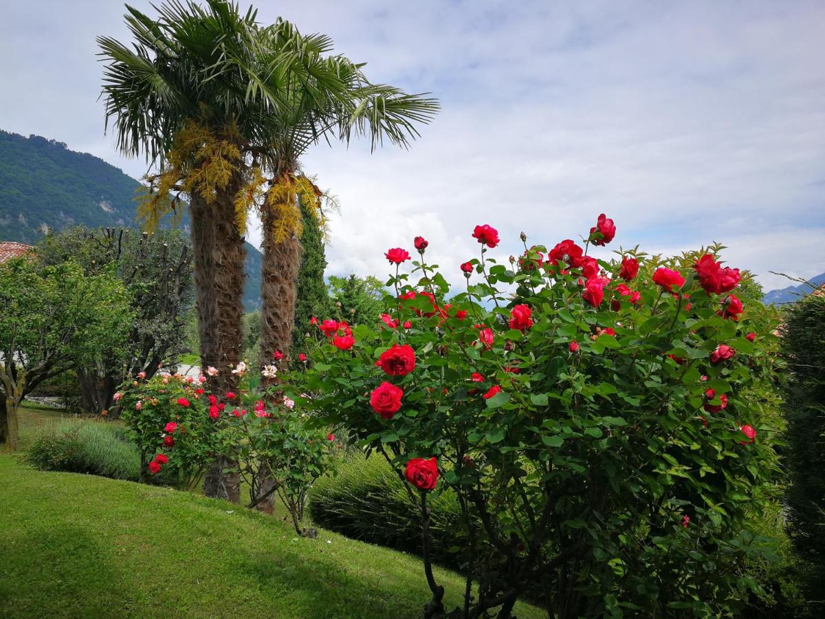 Holiday Home photo 2