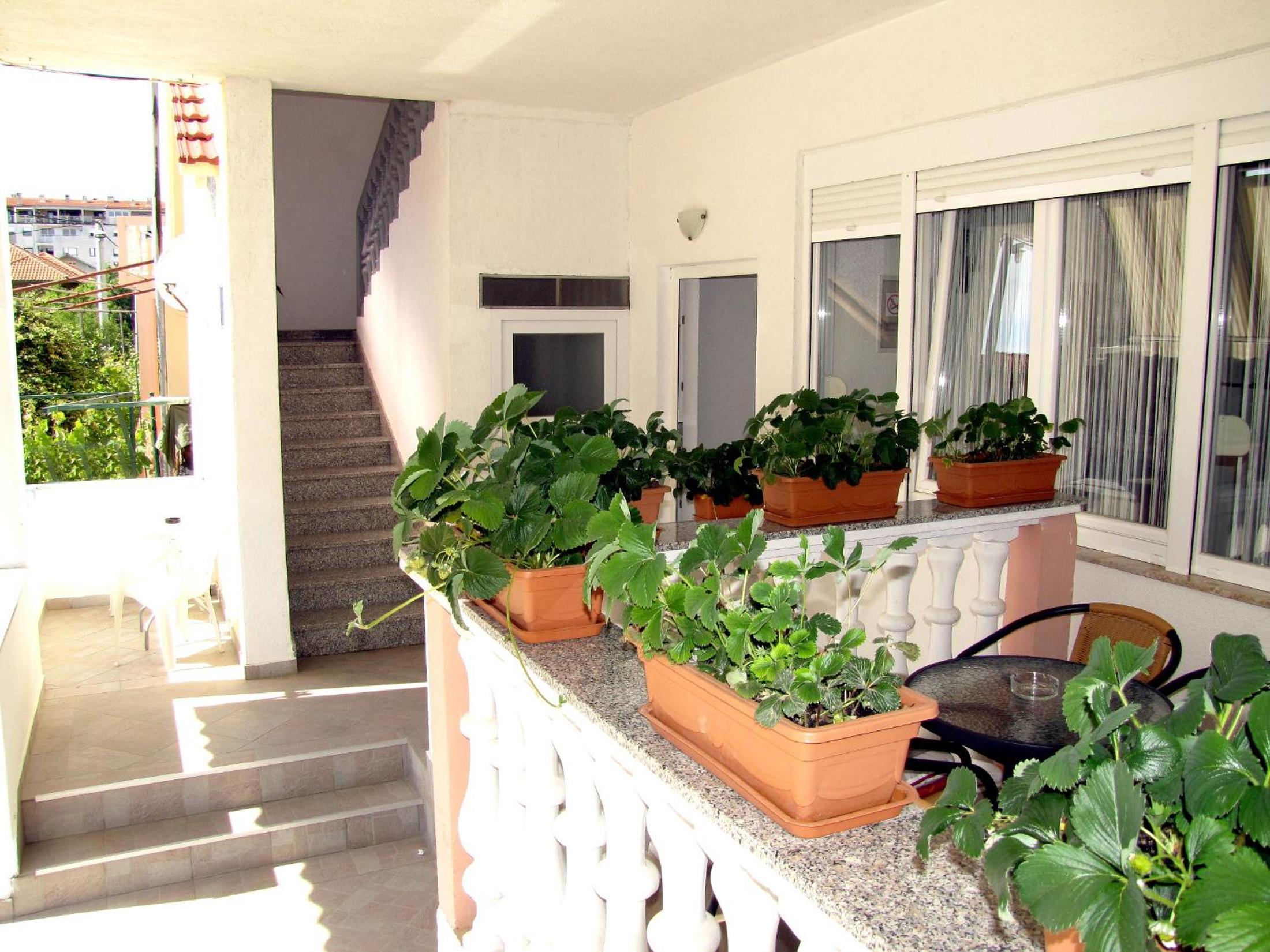 One-Bedroom Apartment - Ground Floor - Photo 6