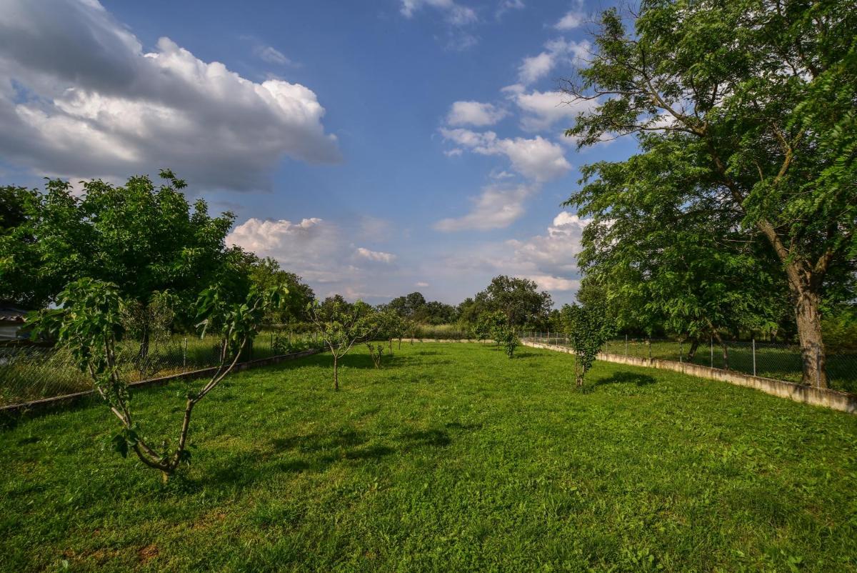 Holiday Home photo 3