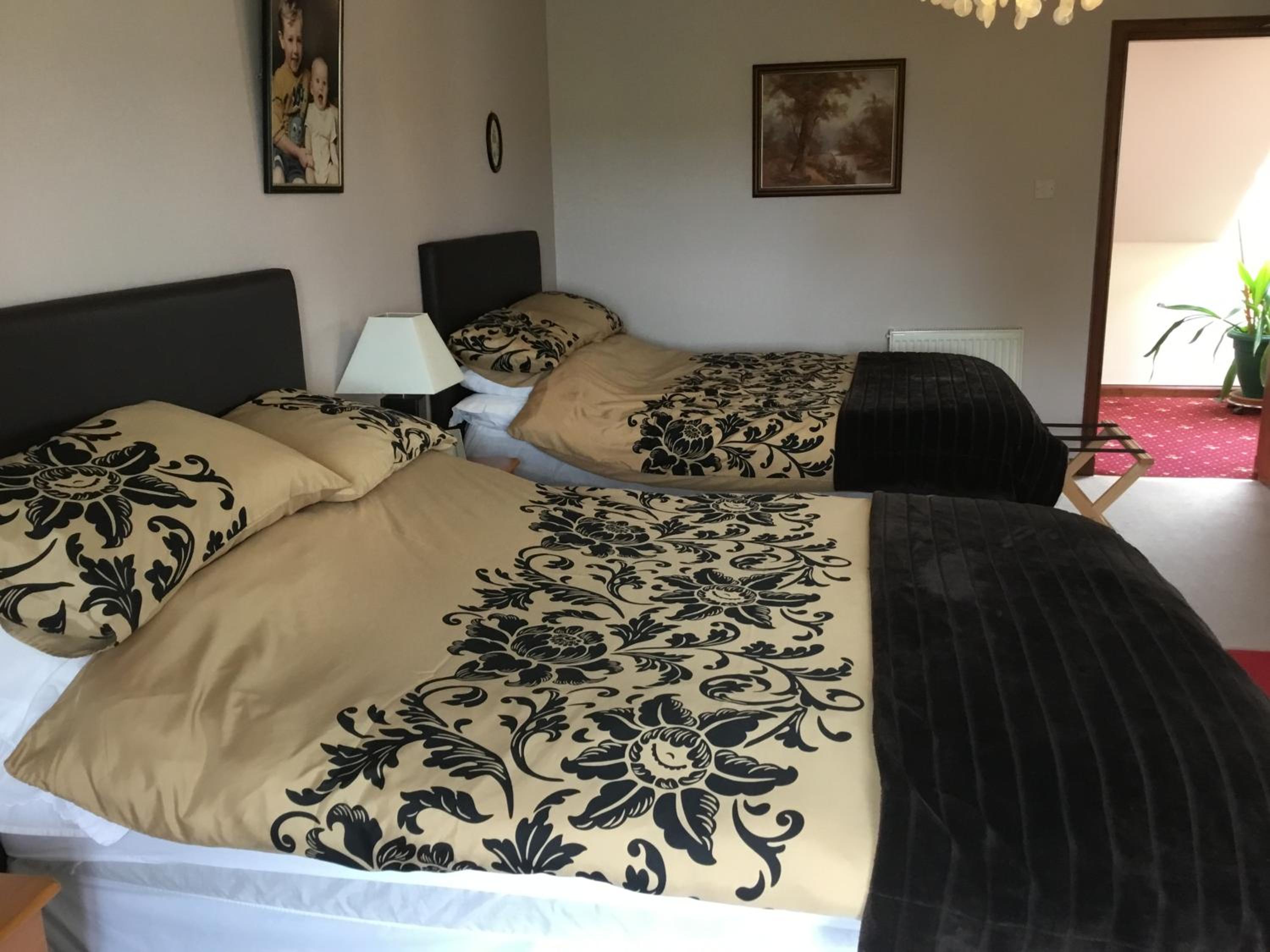 Deluxe Double or Twin Room with Mountain View photo 2