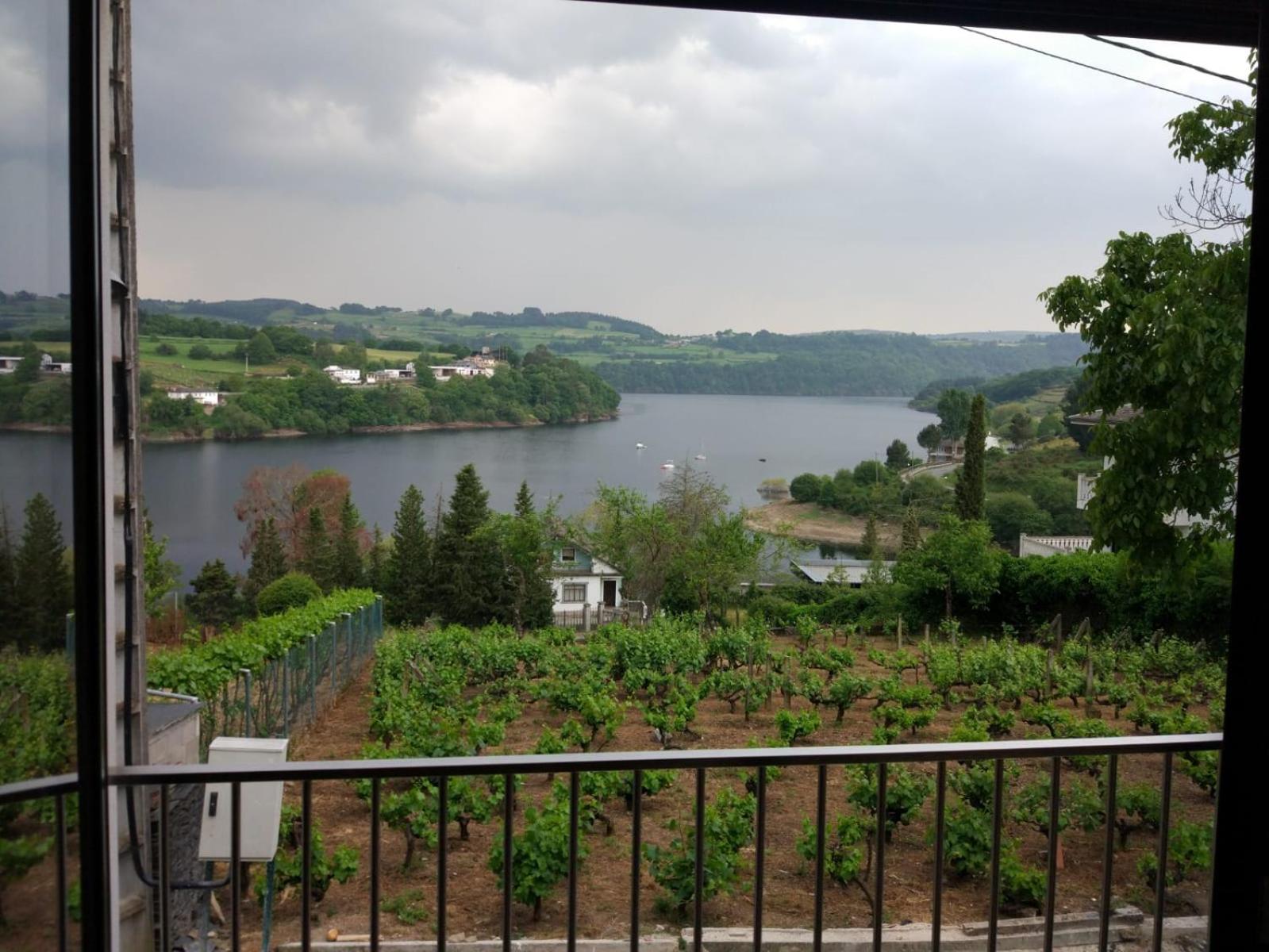 Twin Room with Lake View - Photo 7