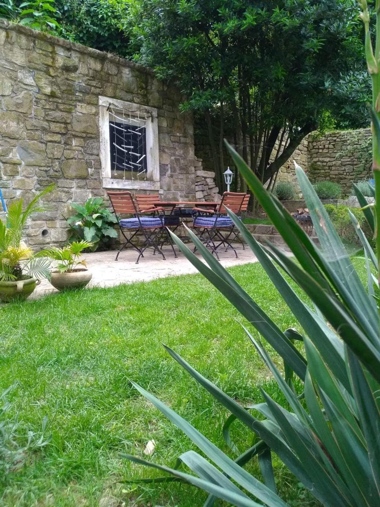 Apartment with Terrace - Photo 29