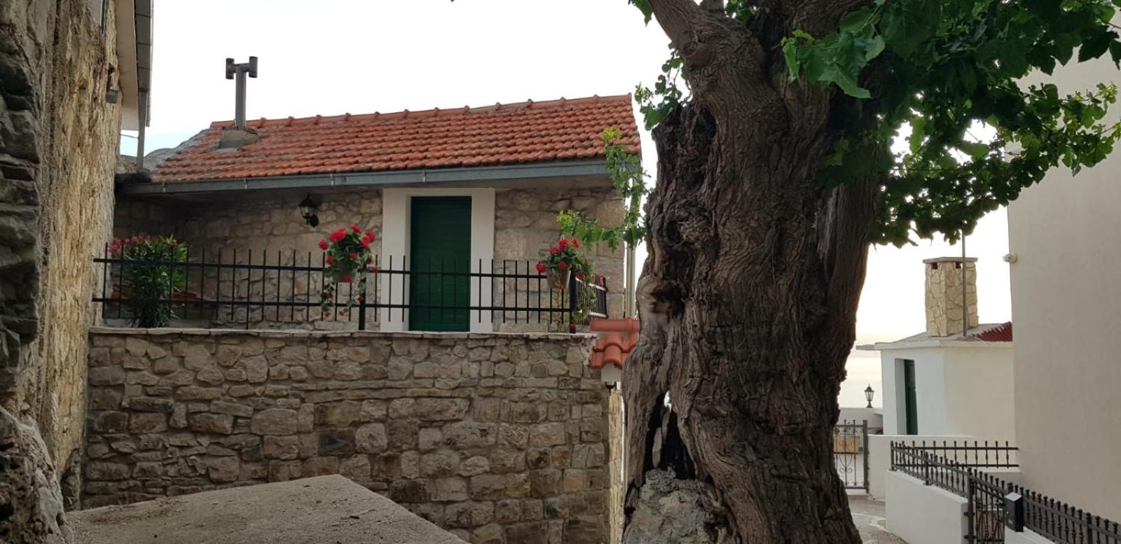 Villa with Sea View photo 2
