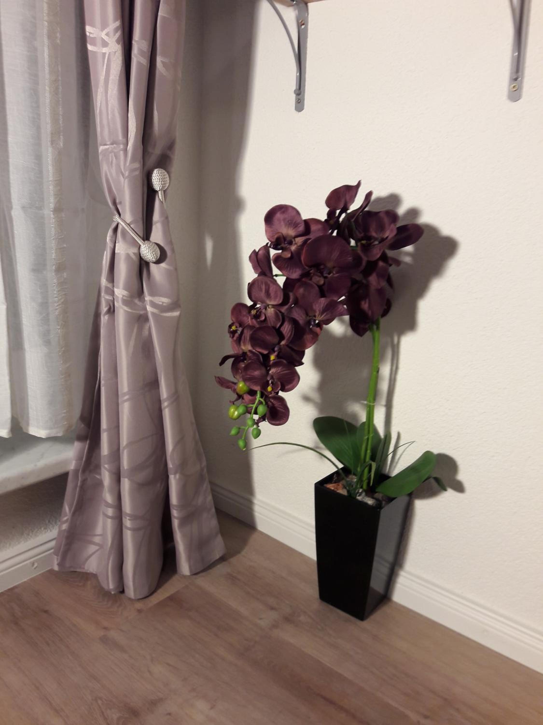 Apartment - Ground Floor photo 1