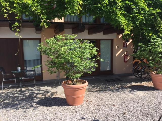 Suite - Photo 5