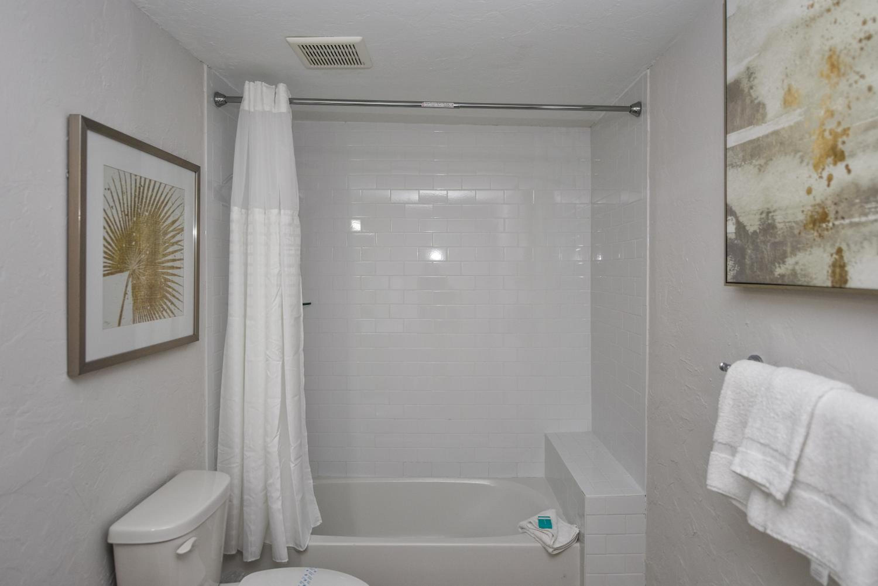 Luxury 1 Bedroom Suite photo 2