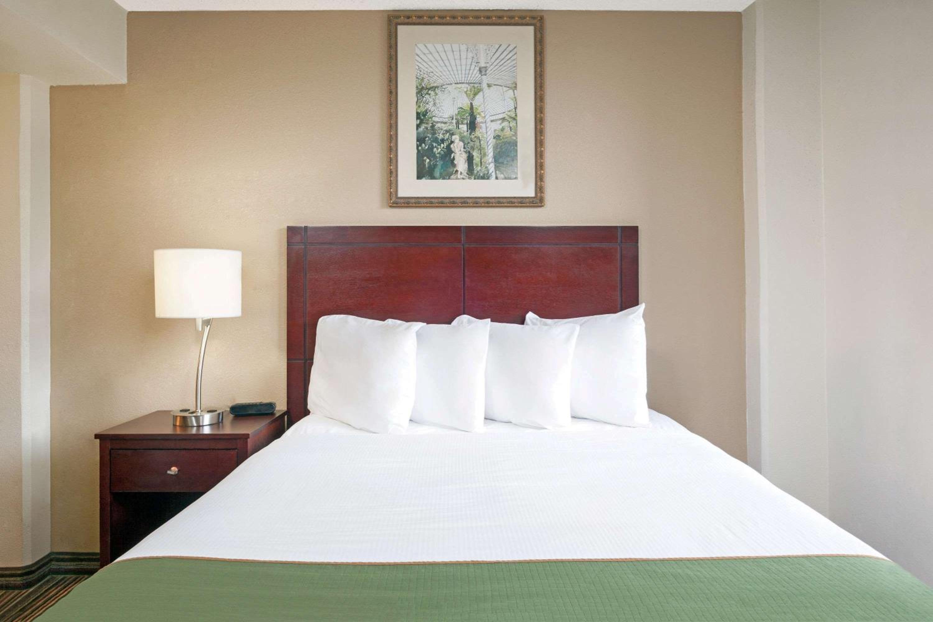 Queen Studio Suite with Roll-In Shower - Mobility Accessible/Non-Smoking