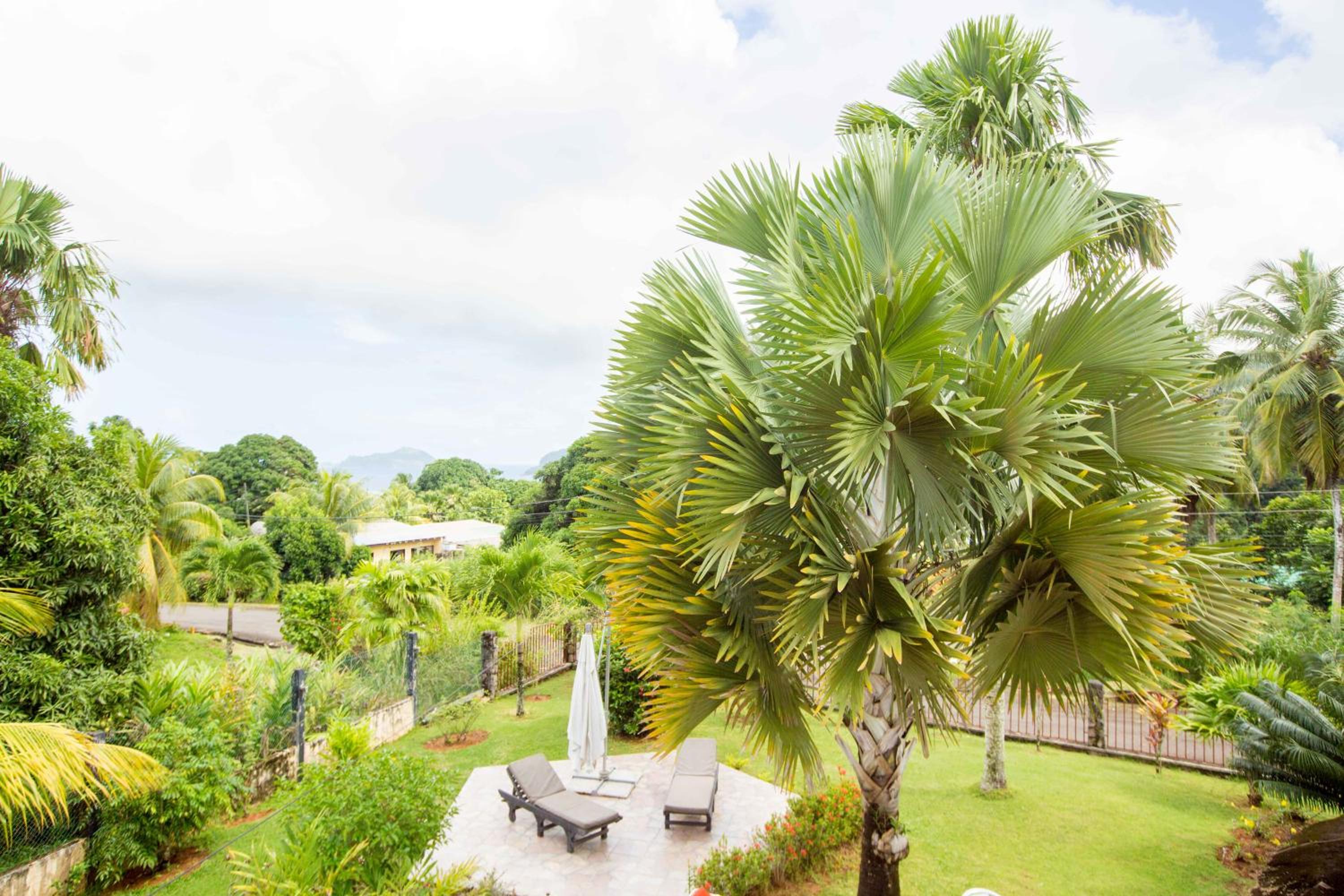 King Room with Garden View photo 3