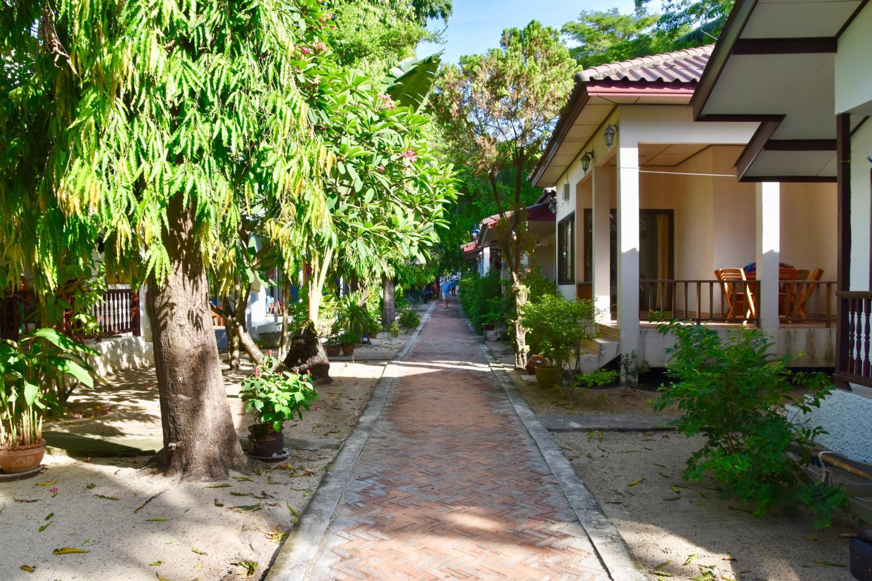 Deluxe Bungalow photo 3