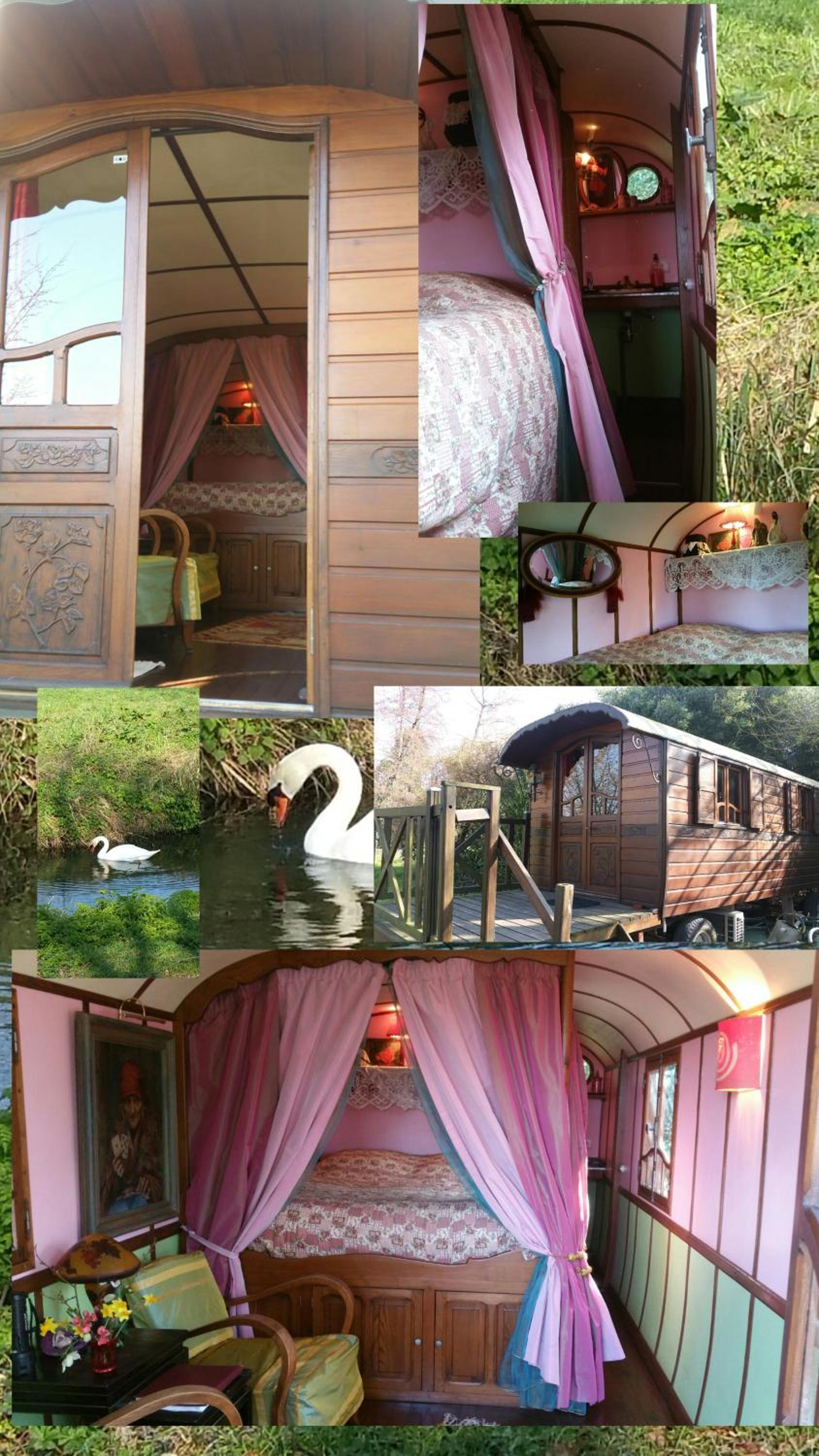 Double Room with Lake View - Photo 1