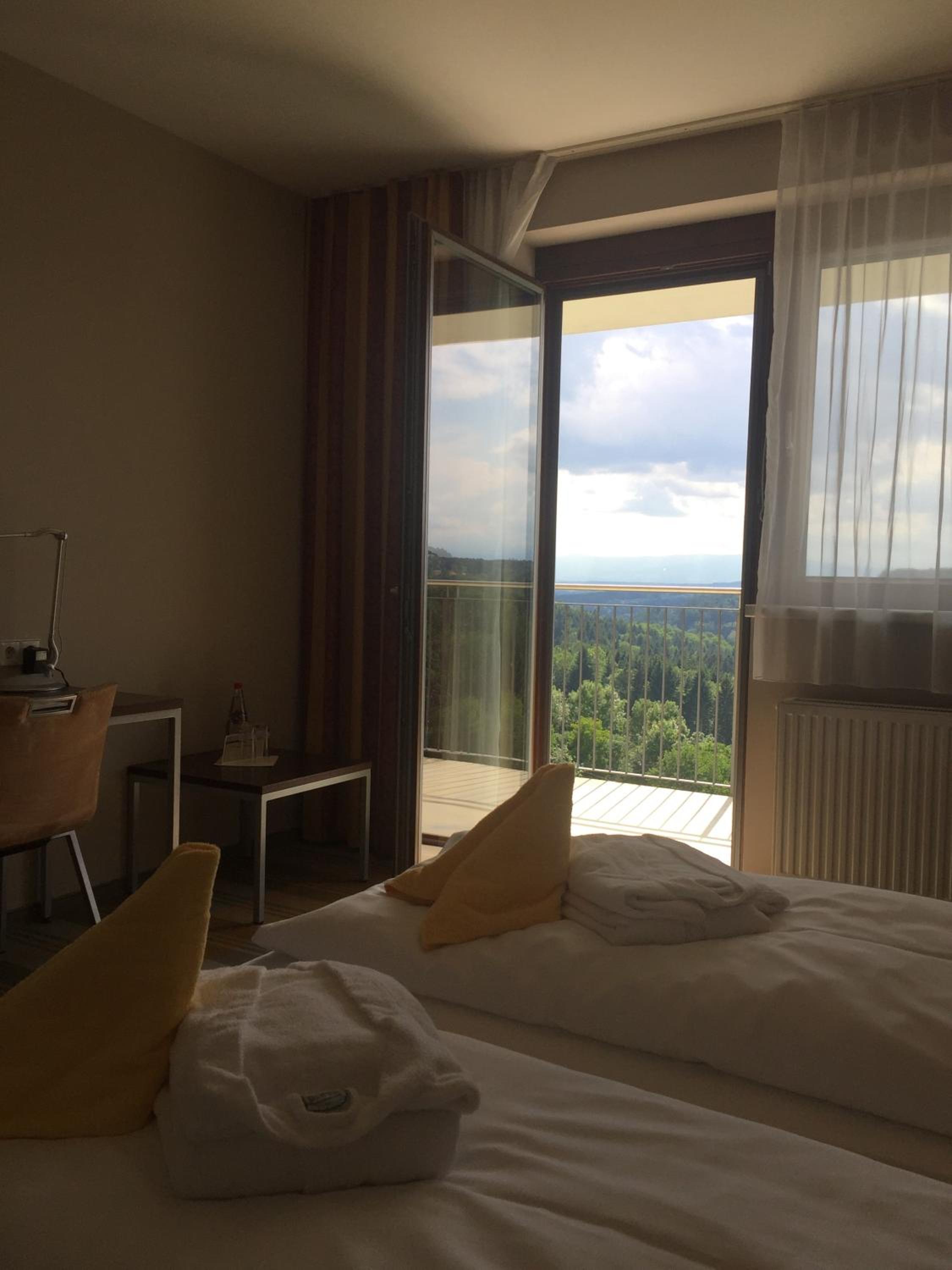 Superior Double Room with Mountain View - Photo 5