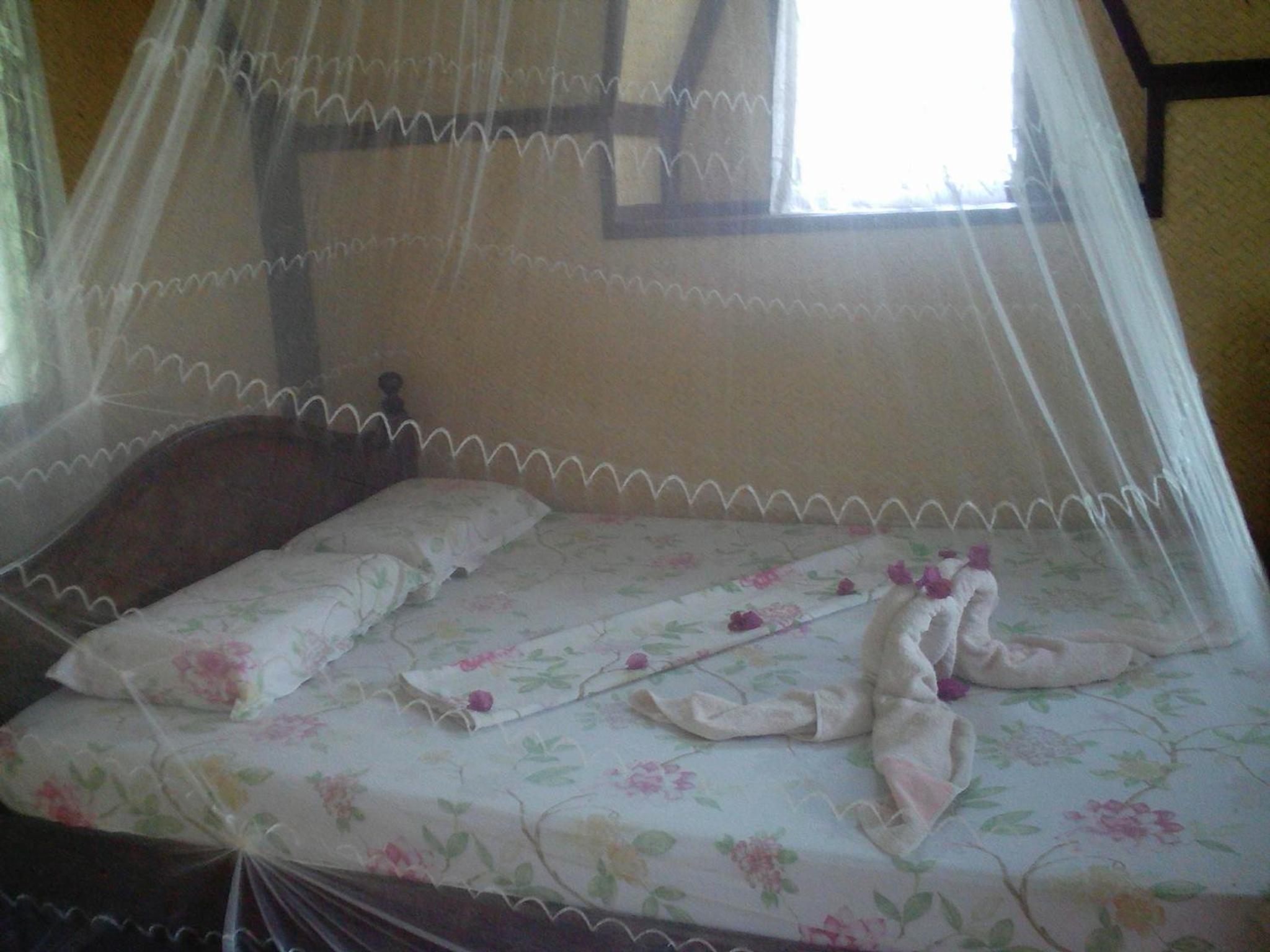 Deluxe Bungalow with Garden View photo 3