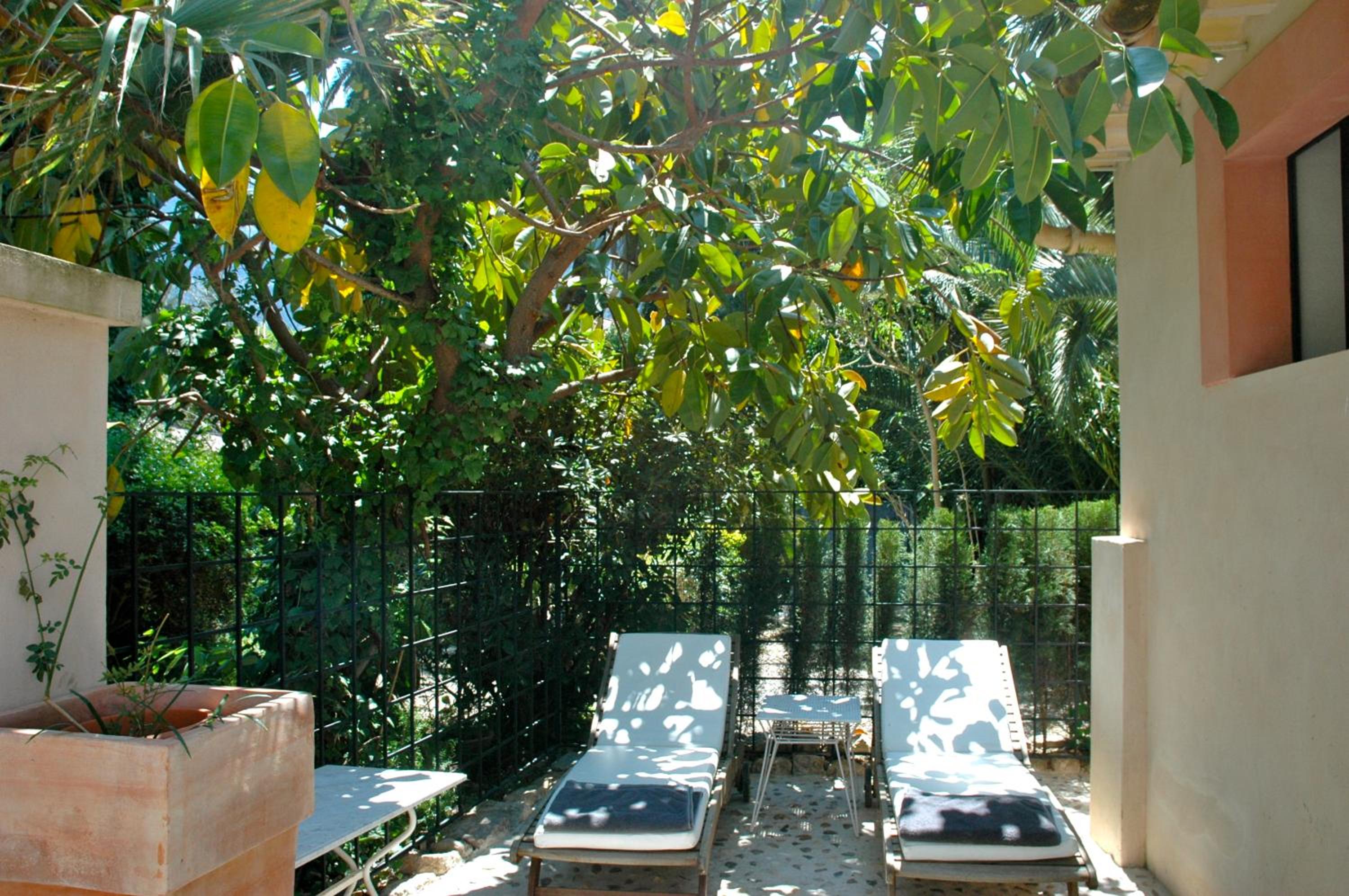 Suite Junior con Terraza