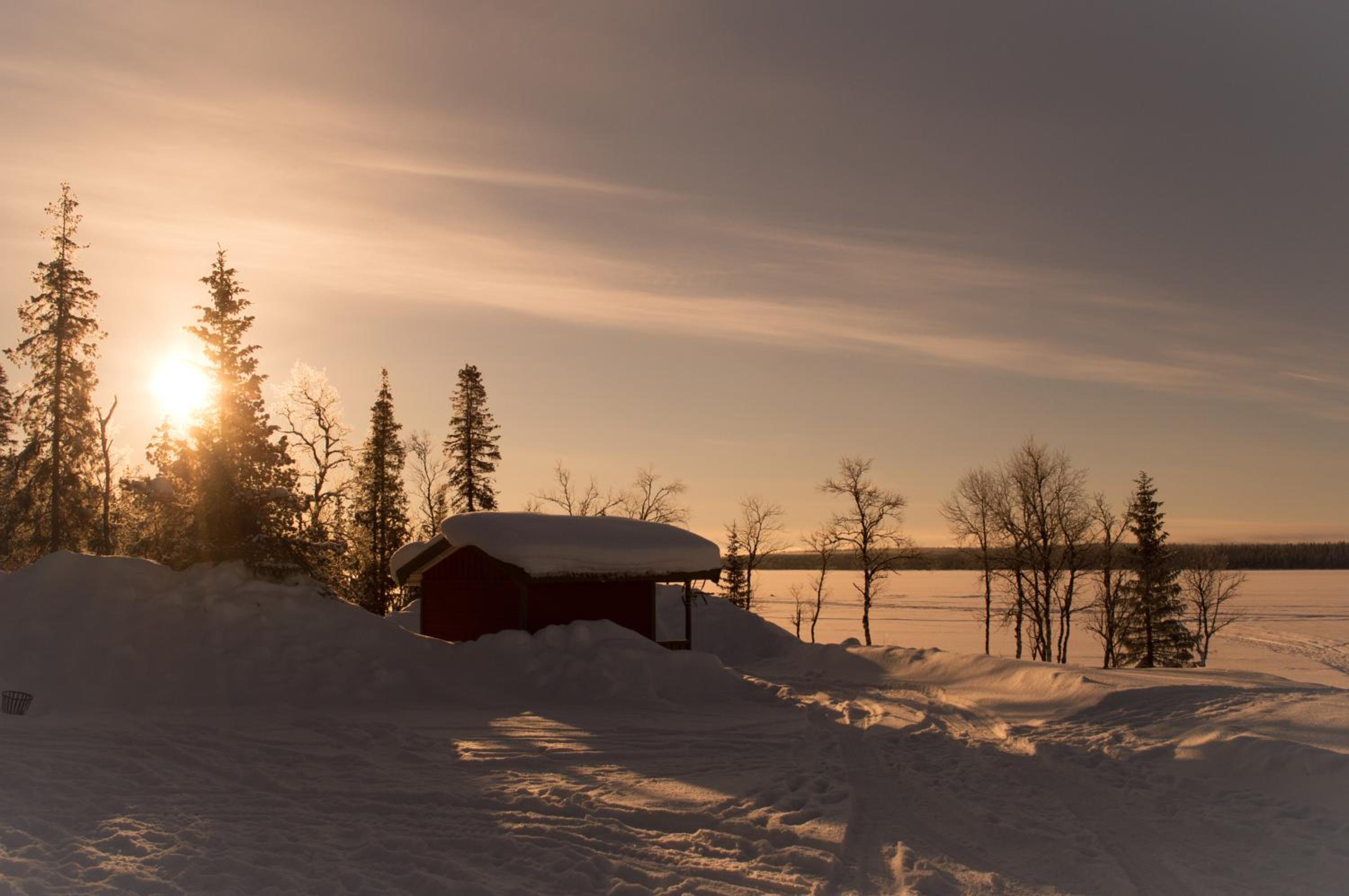 Cottage photo 3
