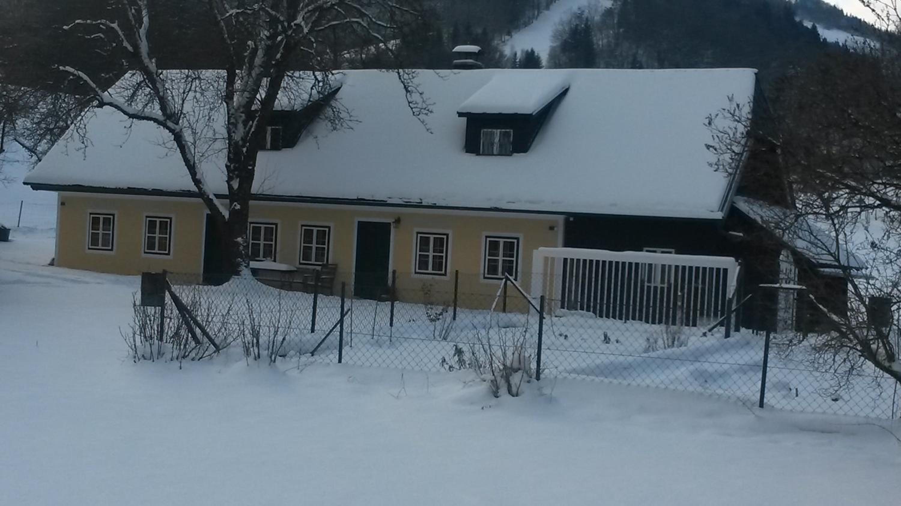 Vacation Home photo 3