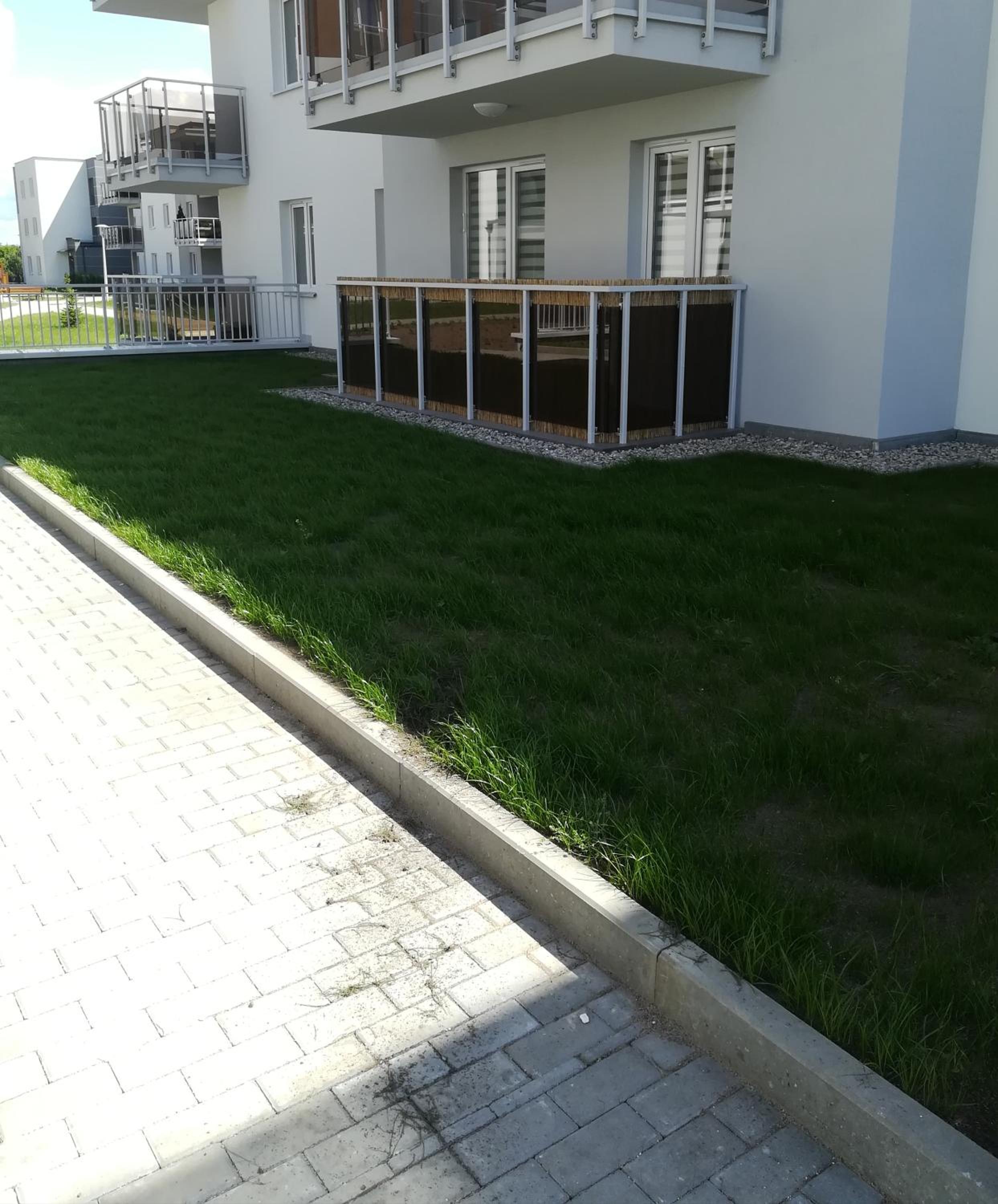 Apartment - Photo 13