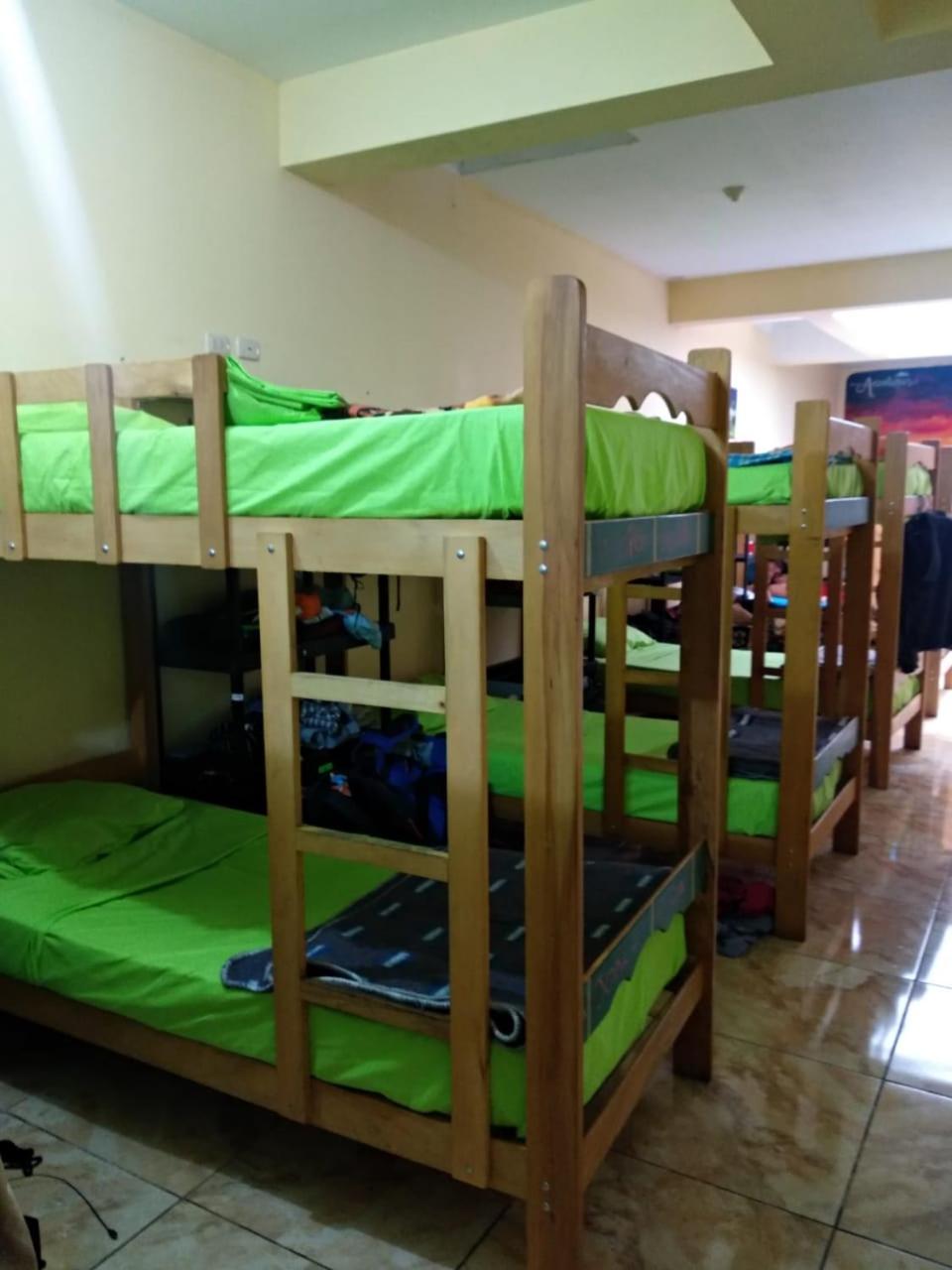 Bunk Bed in Mixed Dormitory Room
