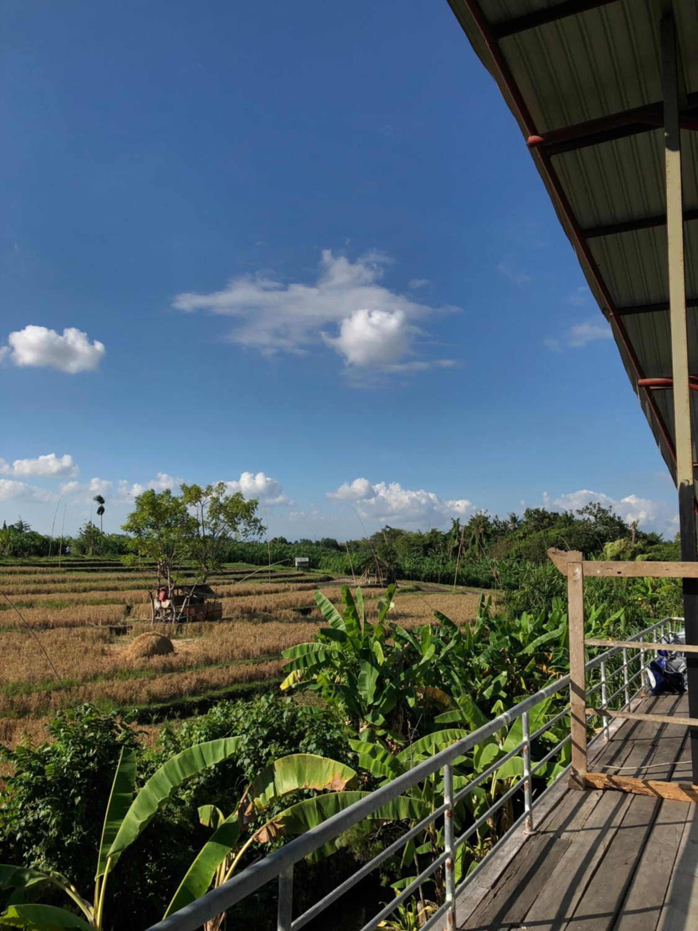Double Room with Garden View - Photo 15