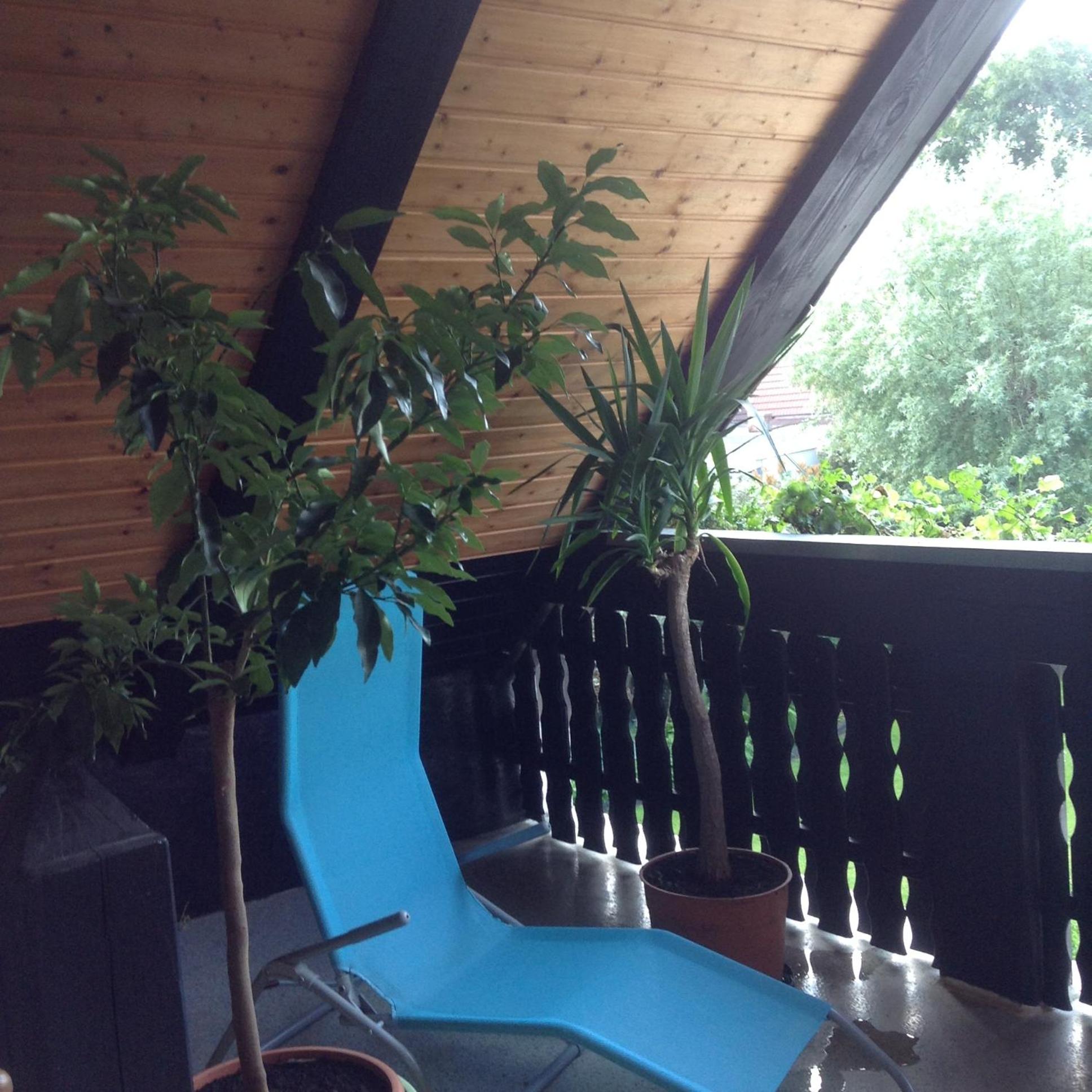 Family Room with Balcony photo 3