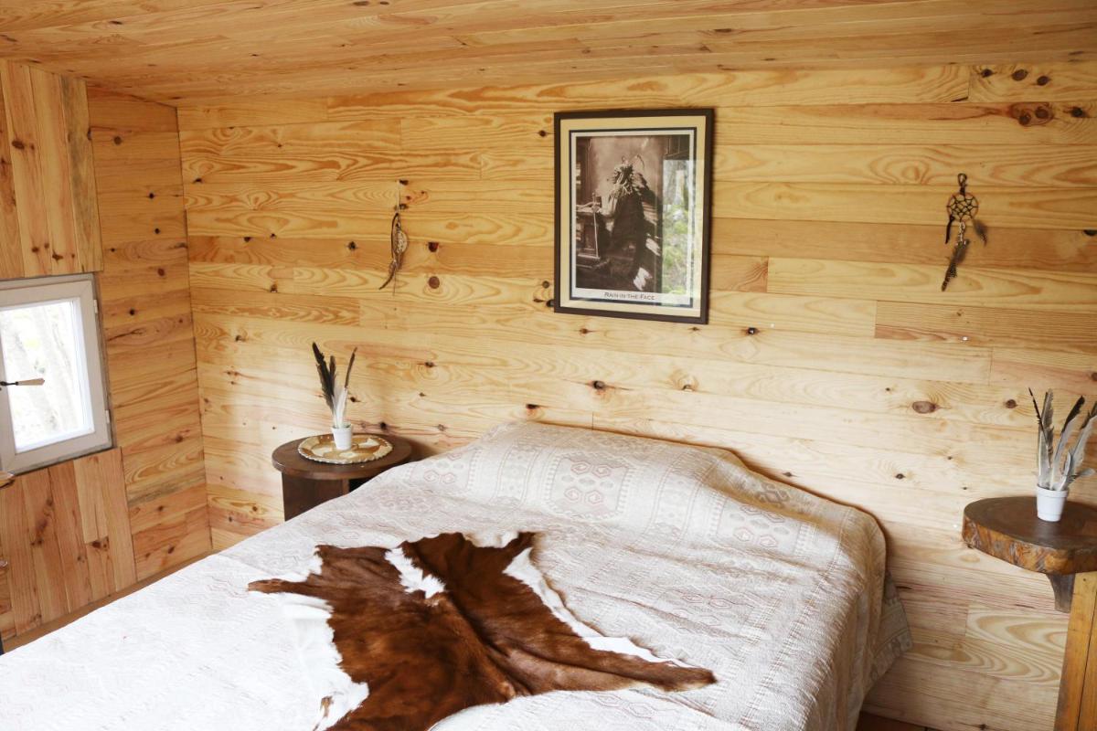Three cabins in the wood photo 2