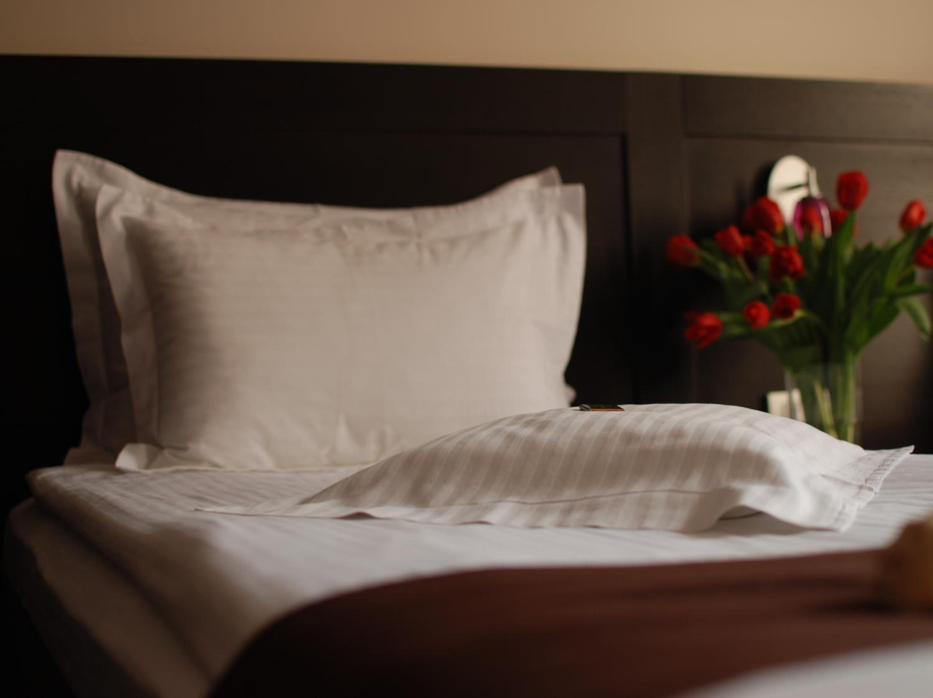 Premium Suite - Photo 6