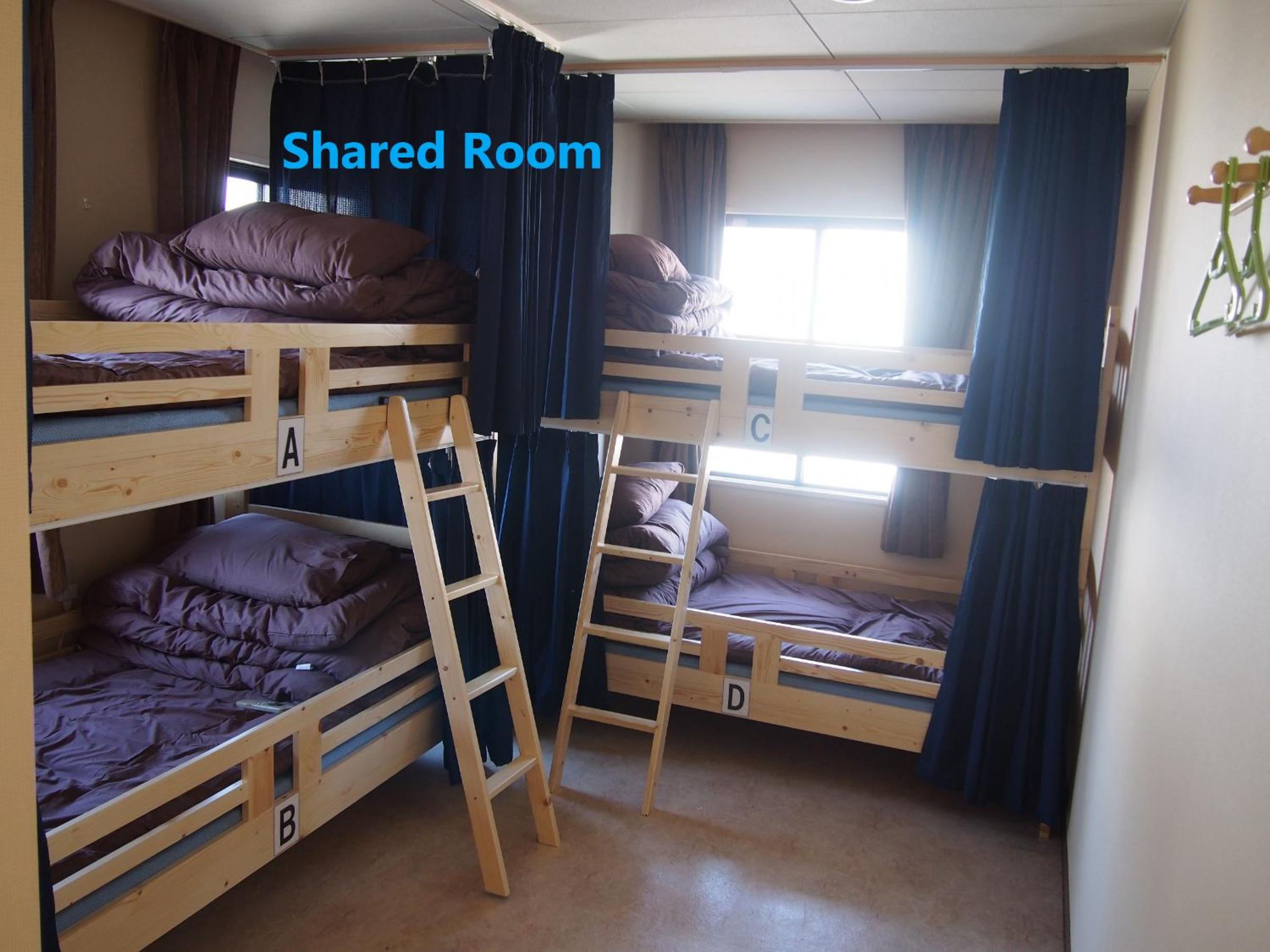 Bed in 4-Bed Female Dormitory Room photo 1