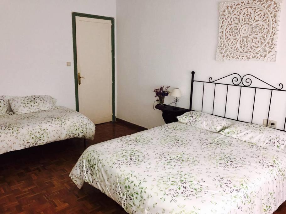 Apartment - Photo 2