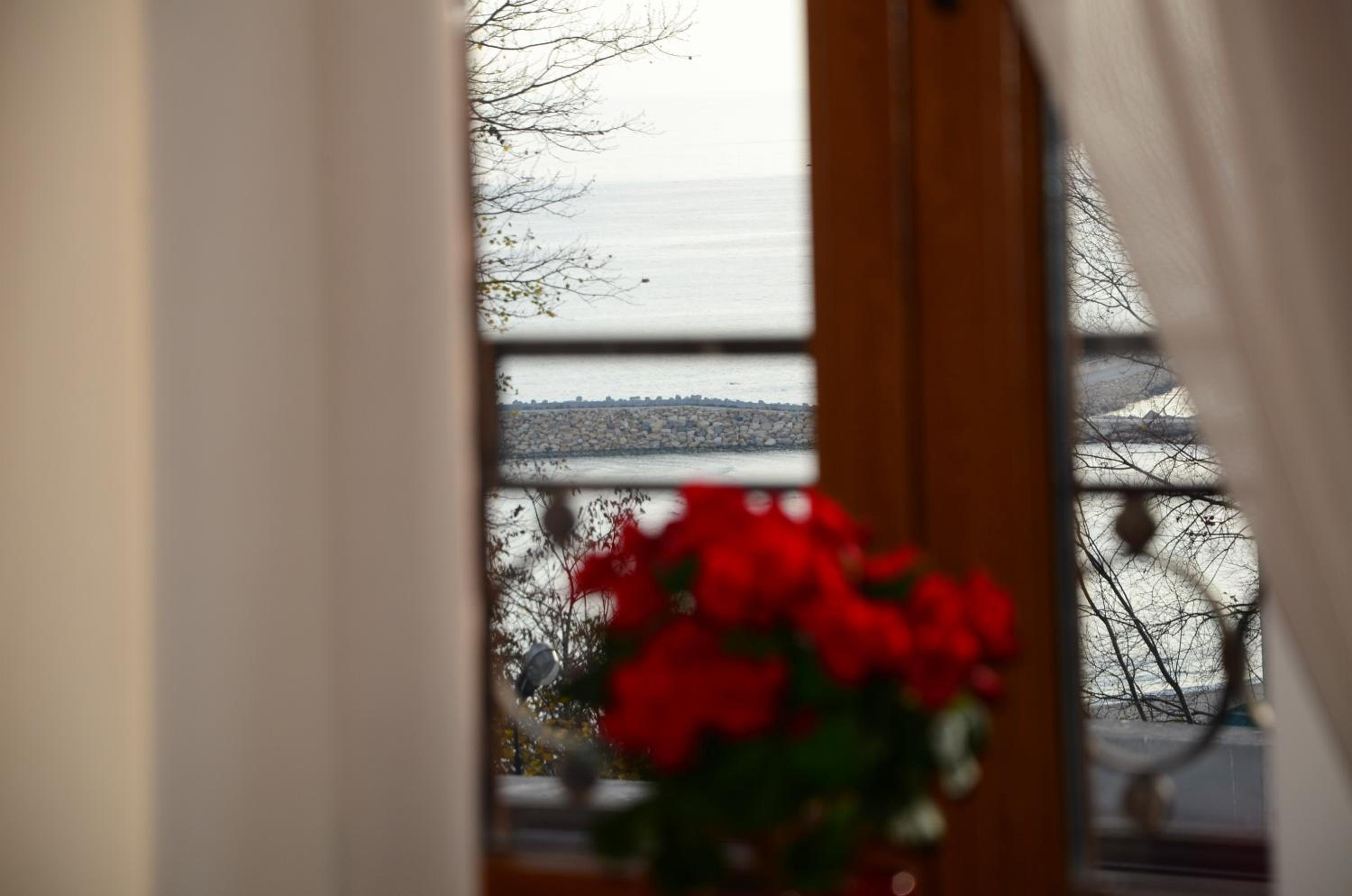 Premium Suite - Photo 5