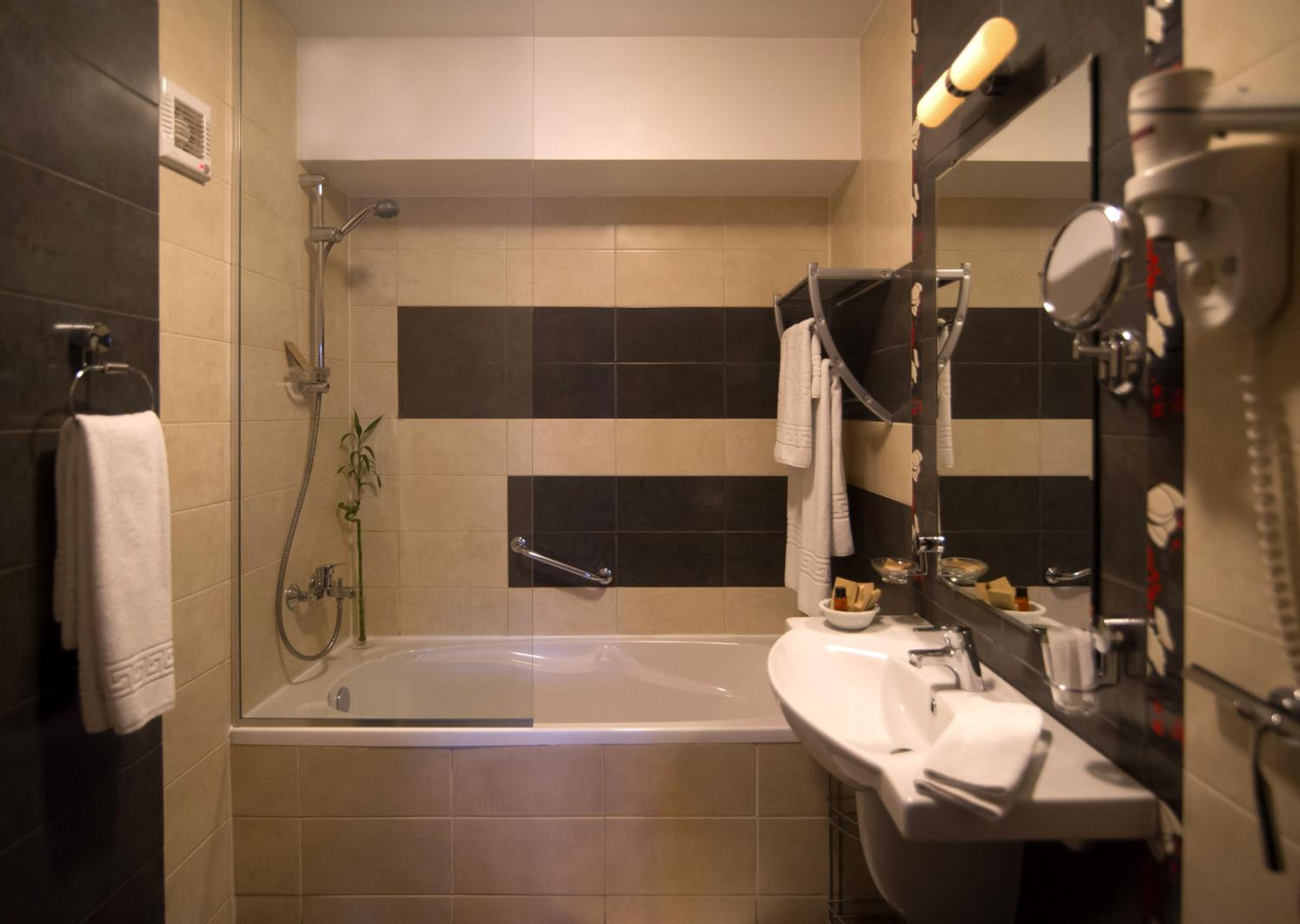 Premium Suite - Photo 7