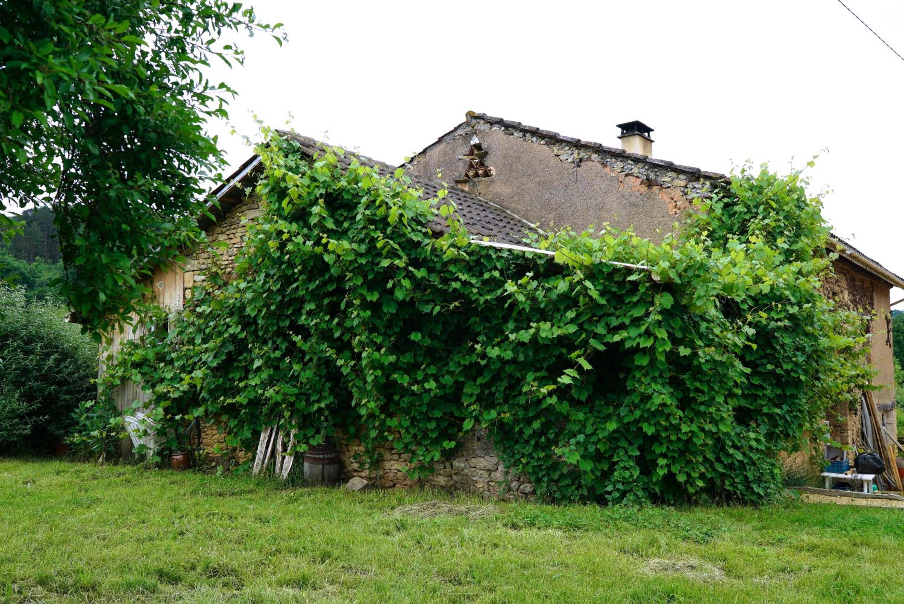 One-Bedroom House La Bergerie