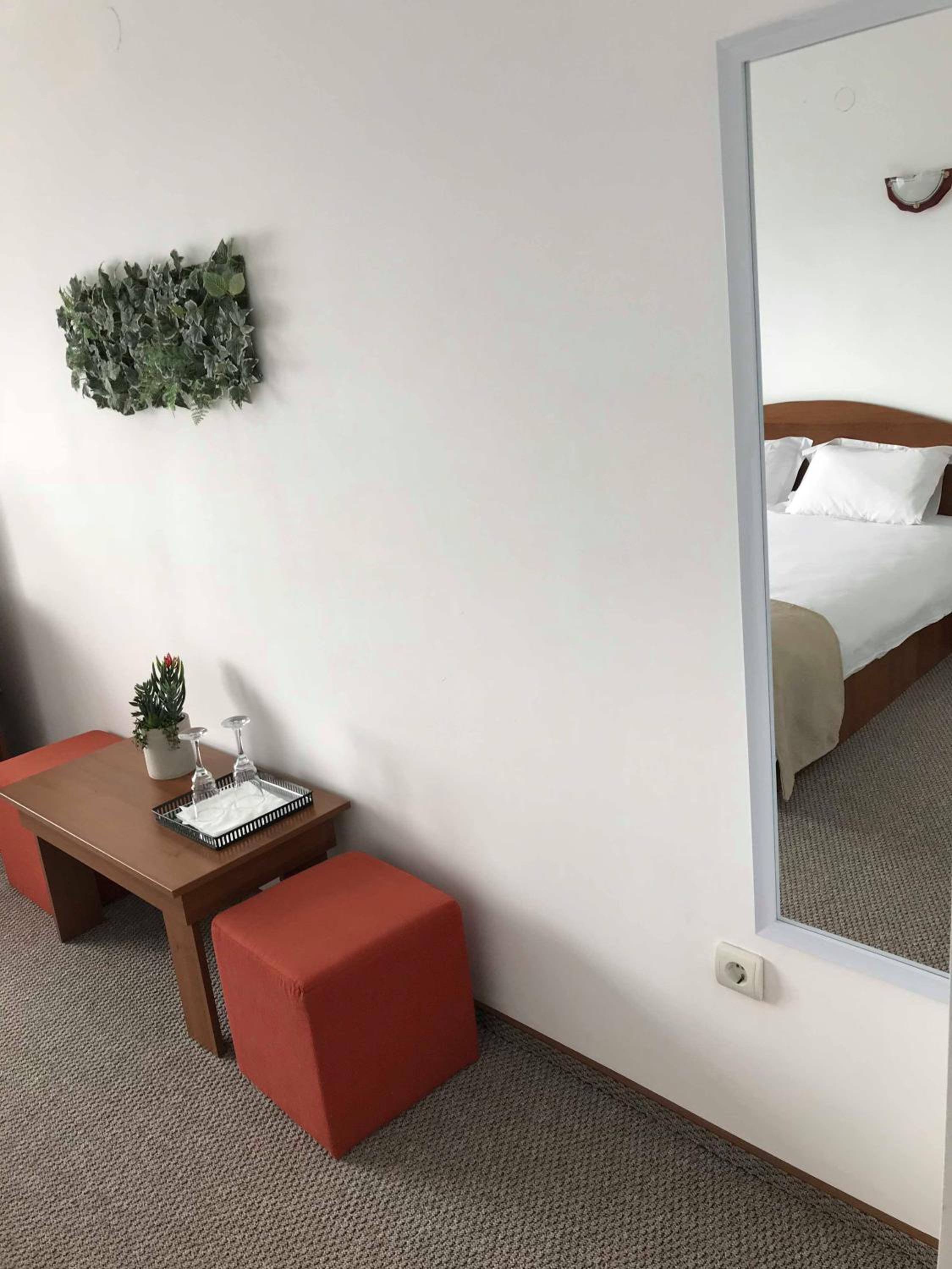 Double Room with Mountain View photo 3