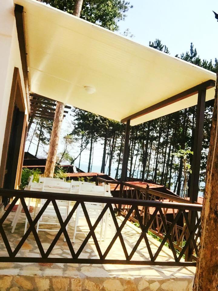 Deluxe Bungalow with Sea View photo 1