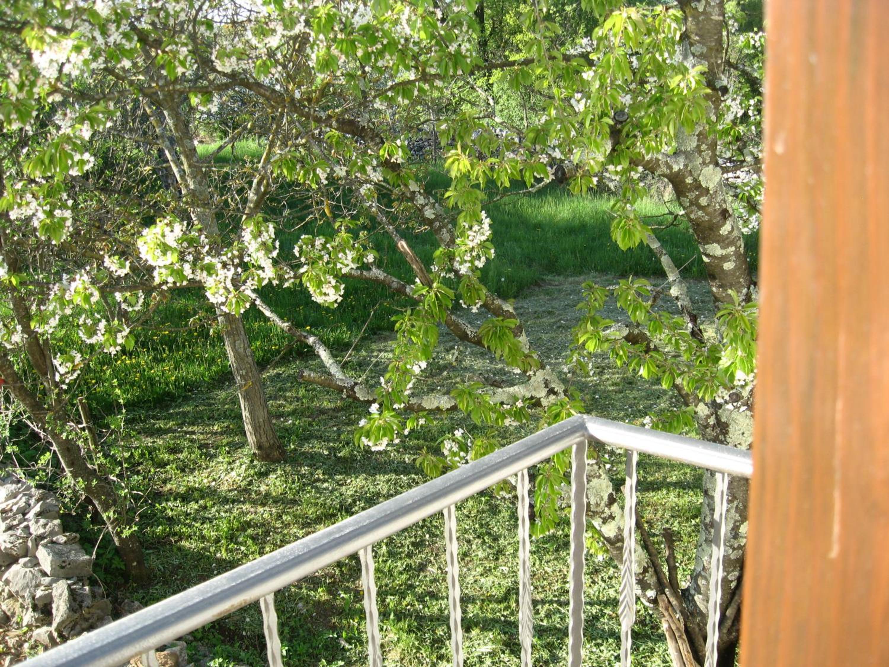 Apartment - Photo 18