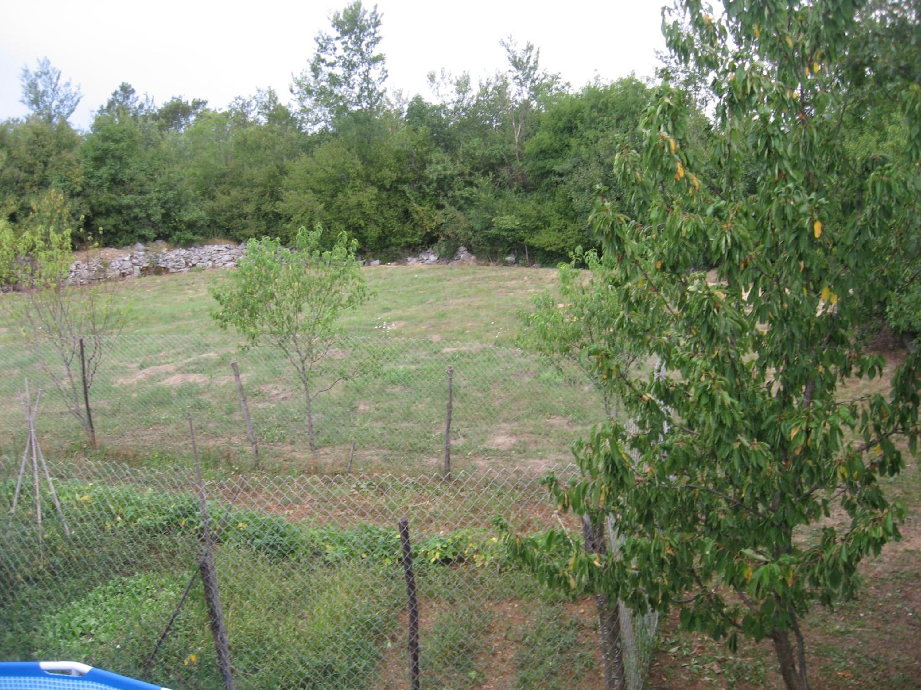 Apartment - Photo 13