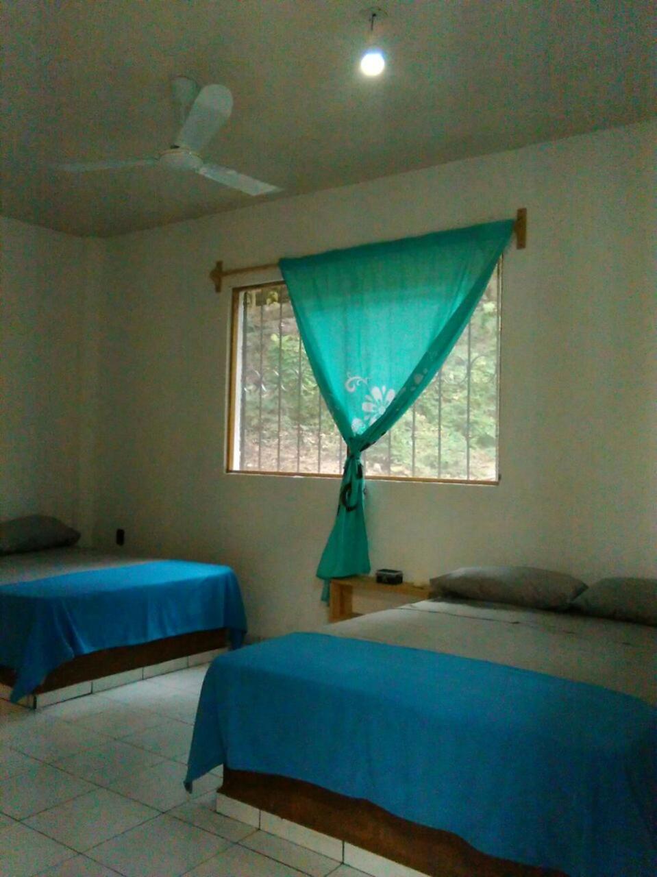 Comfort Quadruple Room - Photo 3