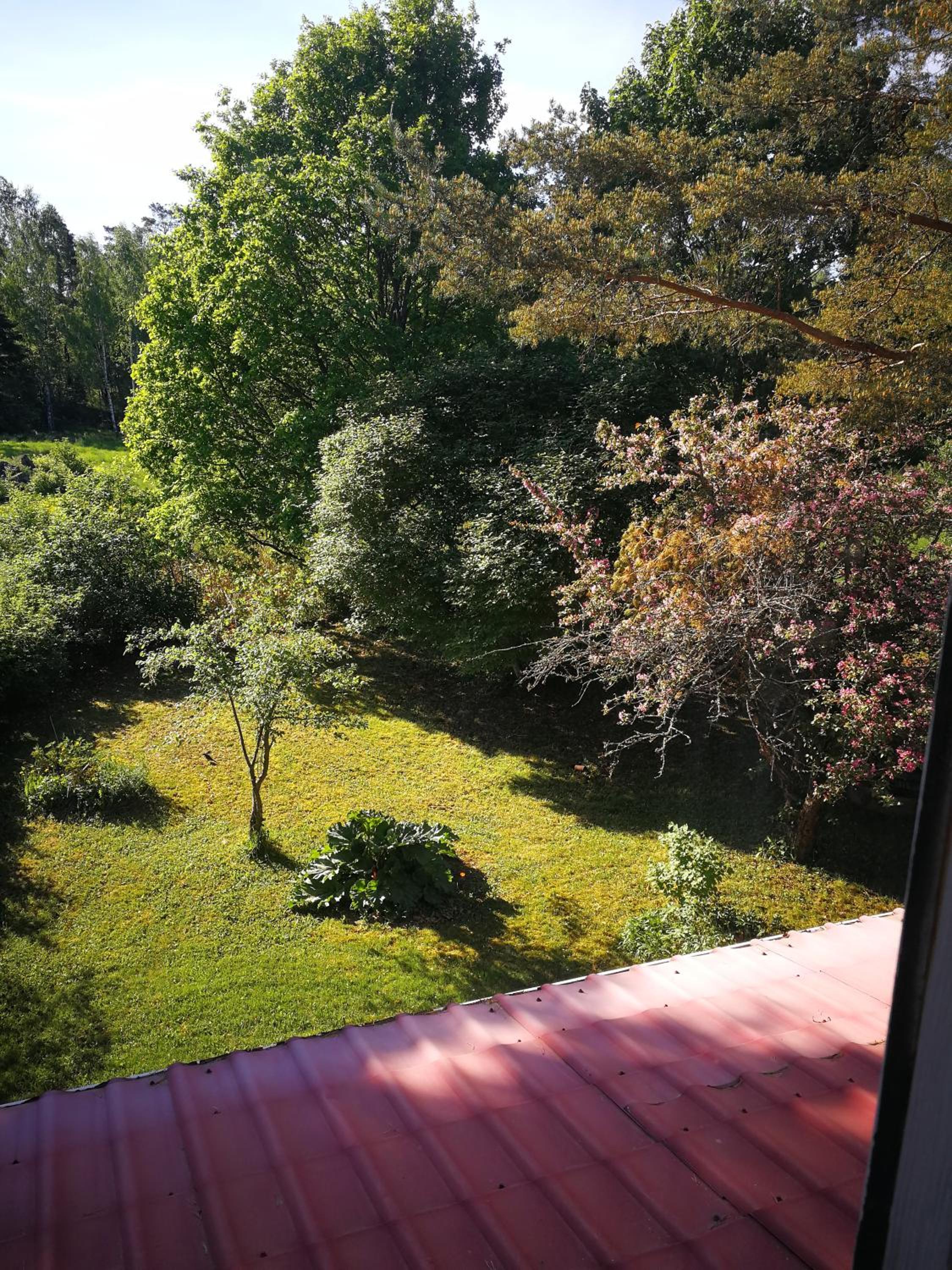 Family Room with Garden View - Photo 11