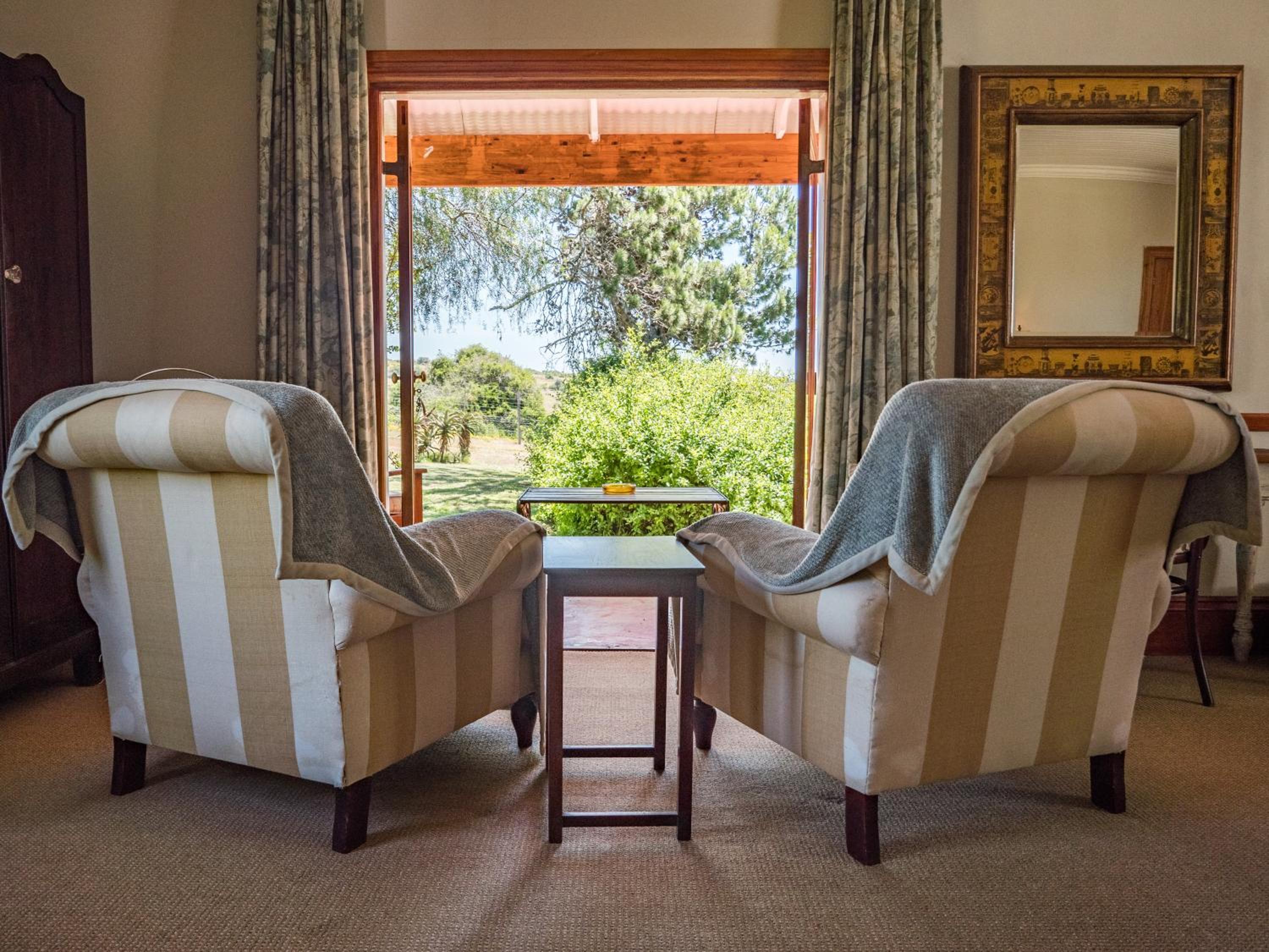Family Suite photo 3