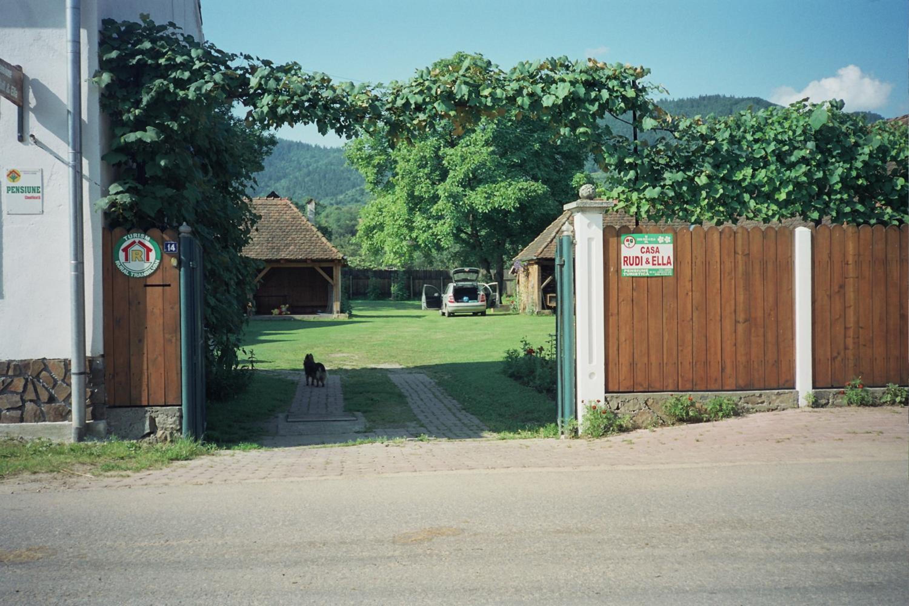 Deluxe Villa photo 2