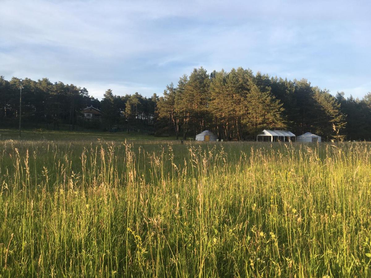 Yurt (5 persons) photo 3