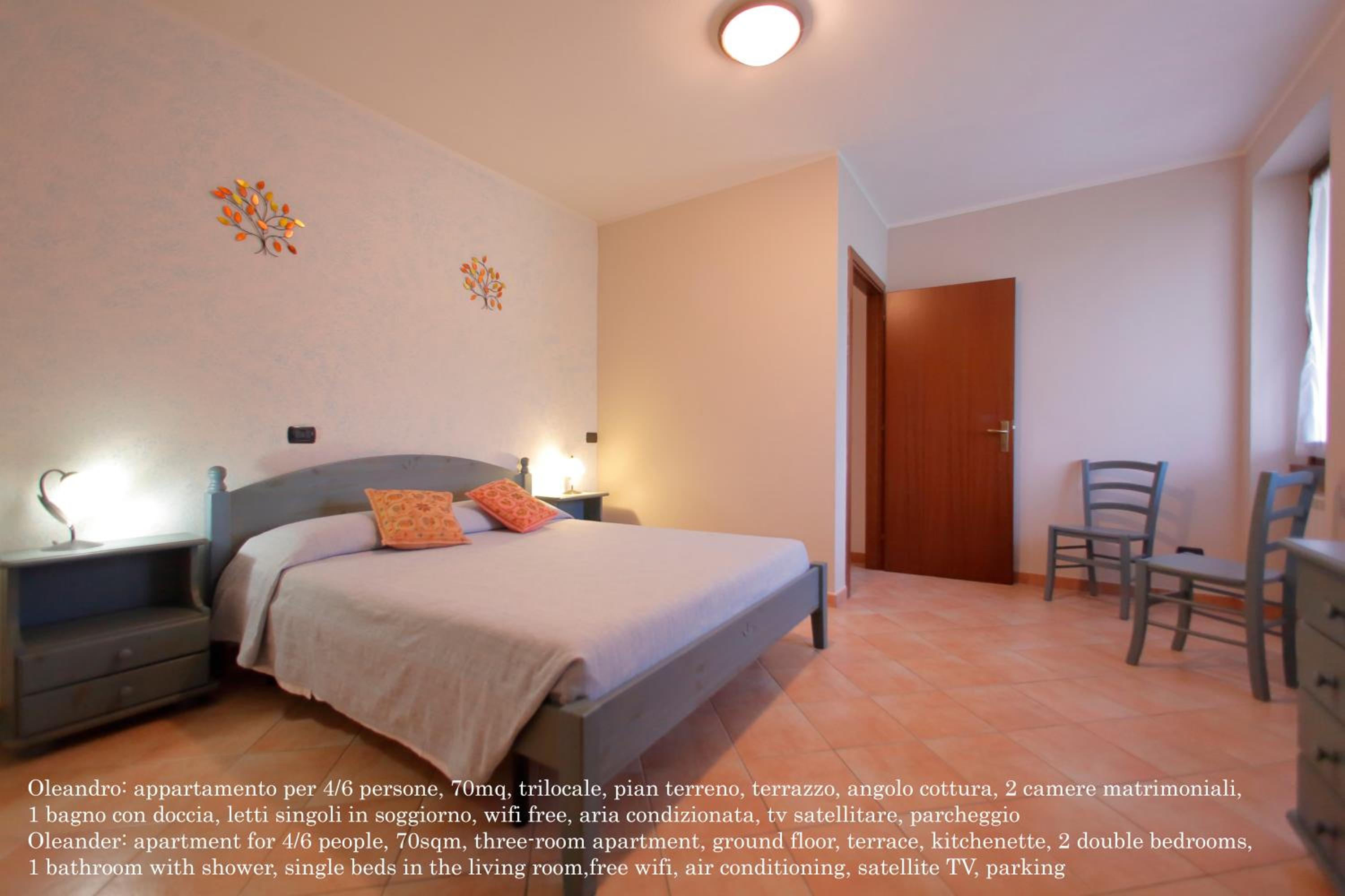 Apartment with Terrace photo 1