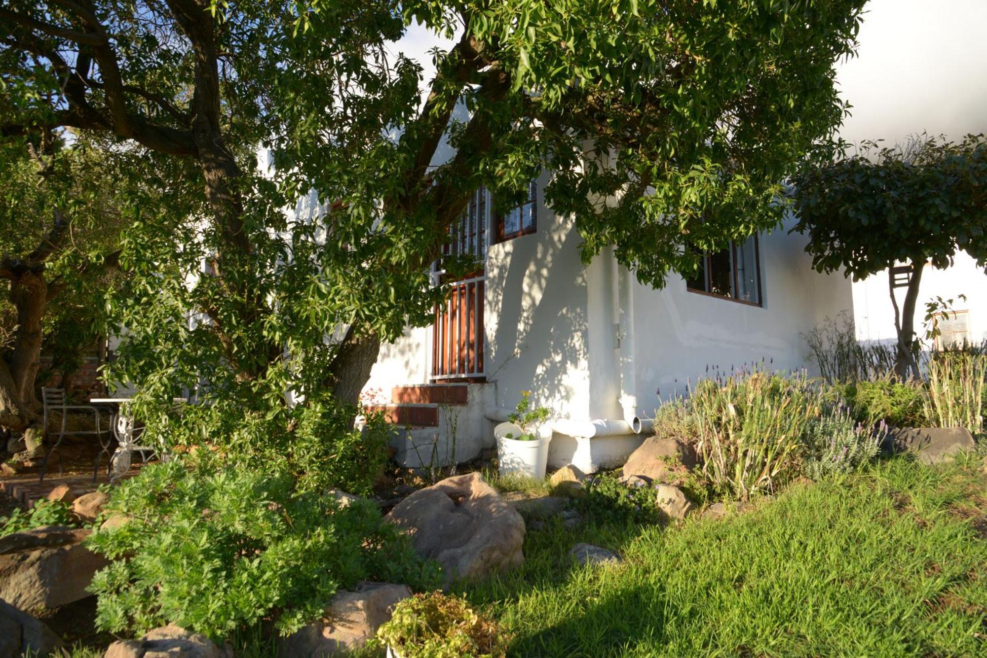 Studio with Sea View - Photo 4